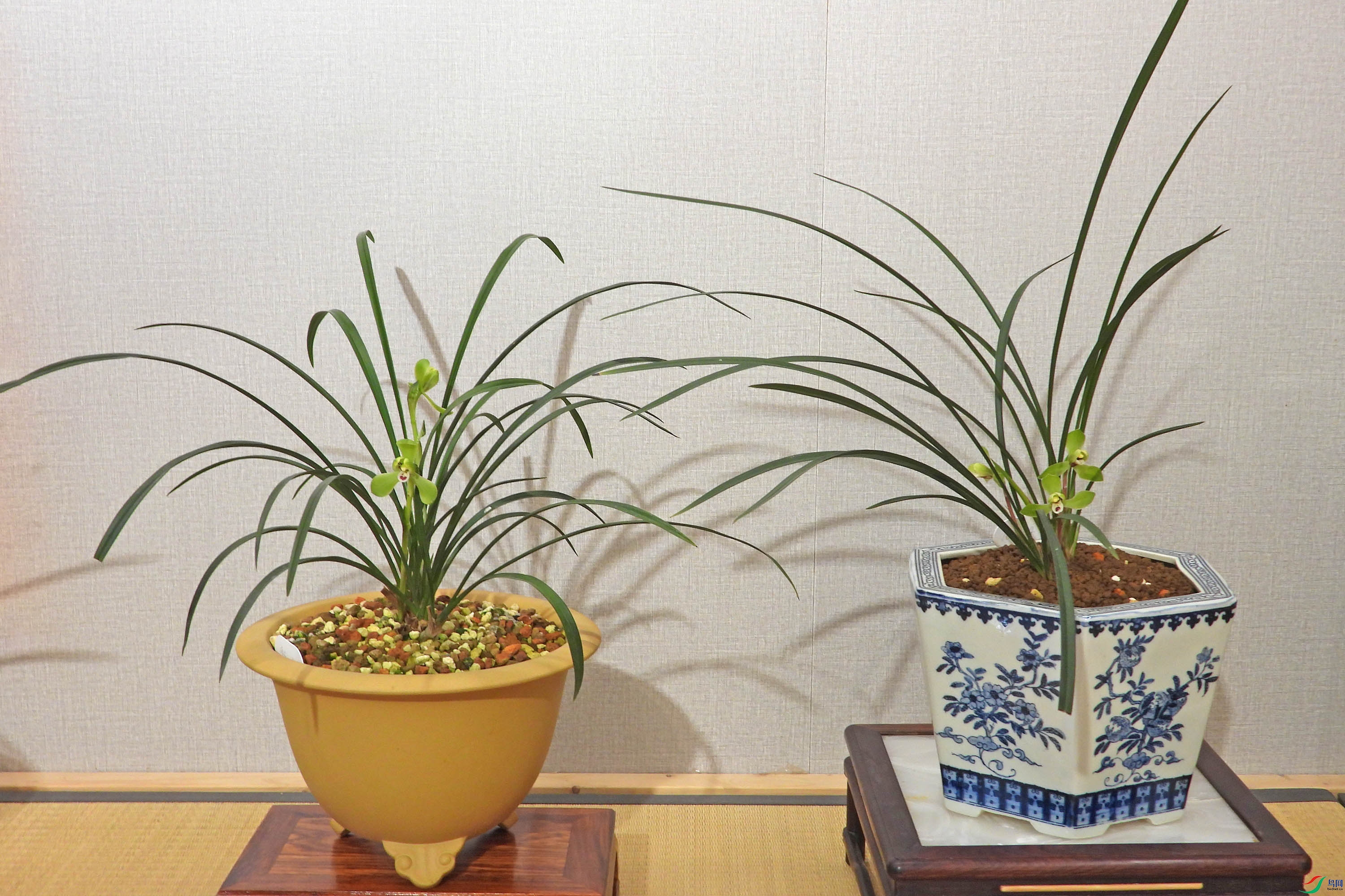 DSCN2698.JPG