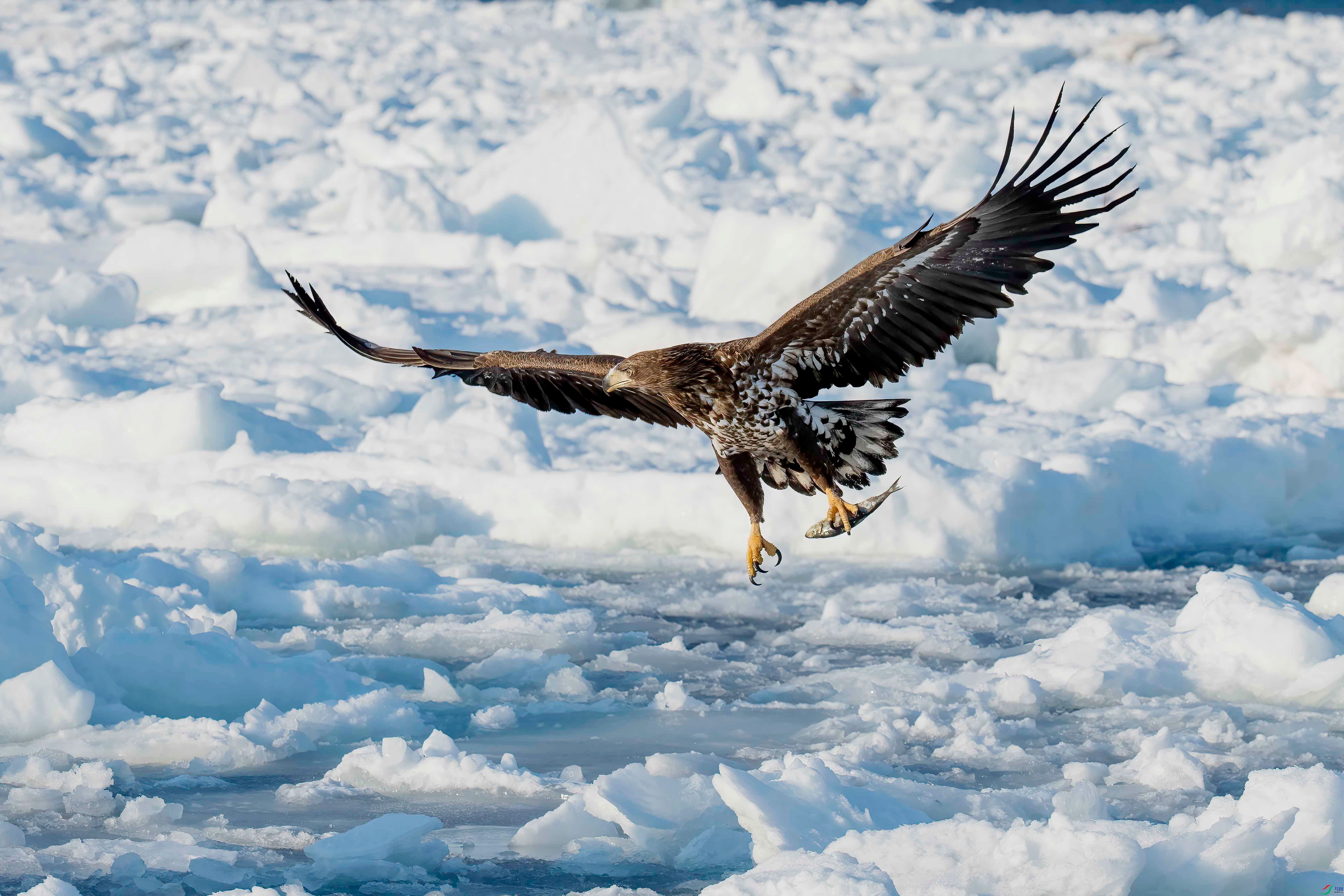 C25I0725 -N_����.jpg