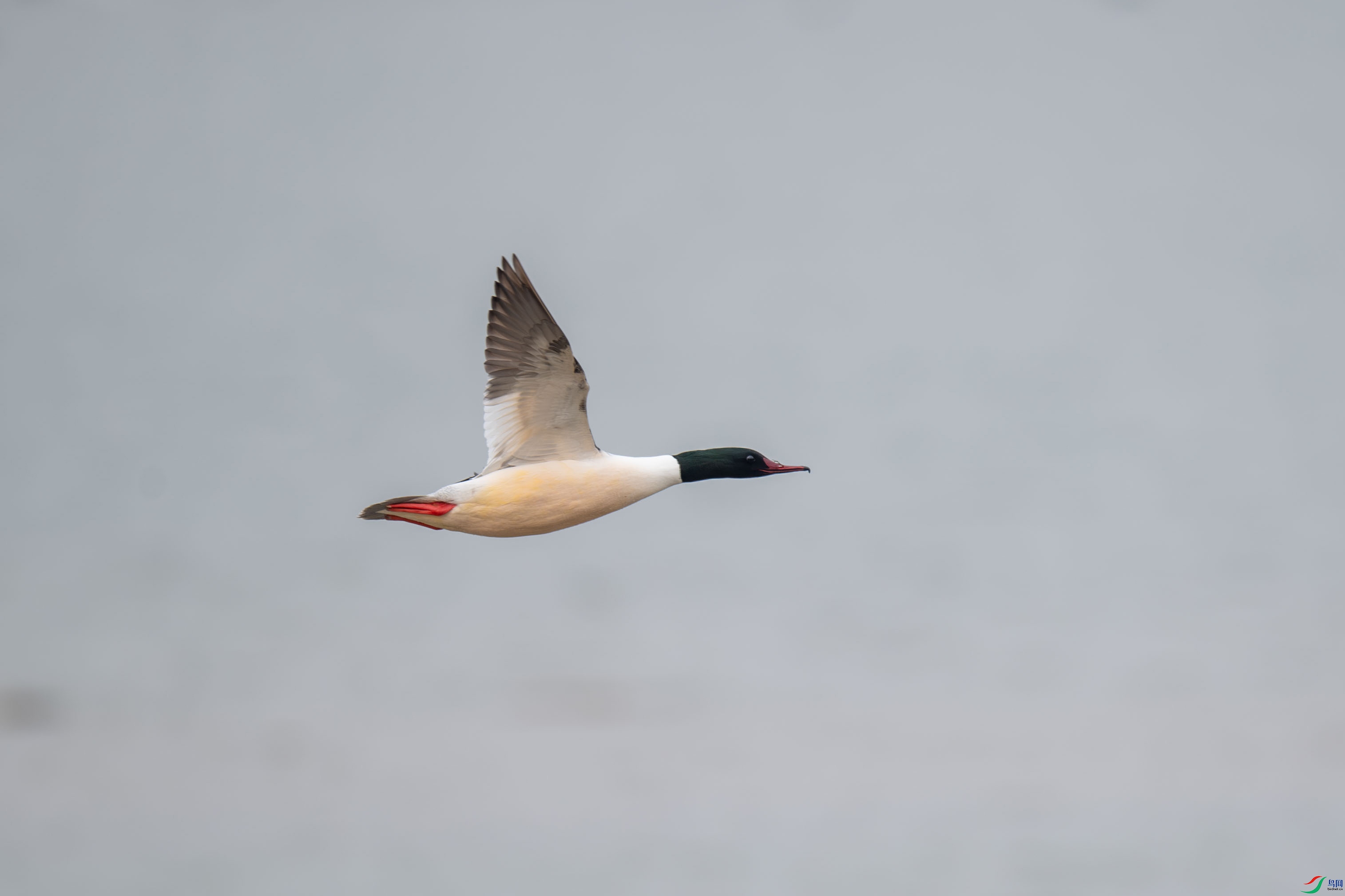 DSC_8114.jpg