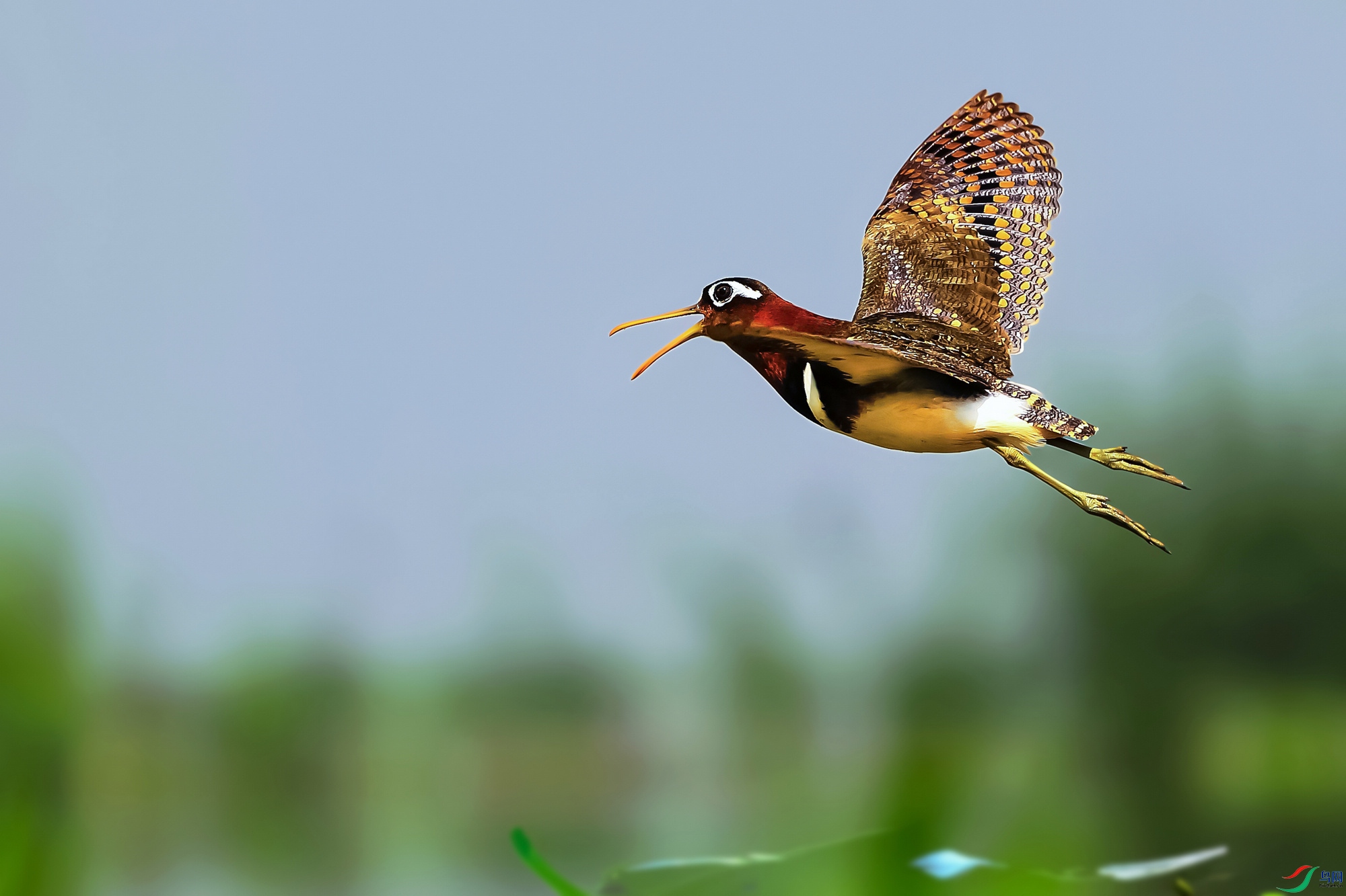 IMGL5101 ����b.jpg