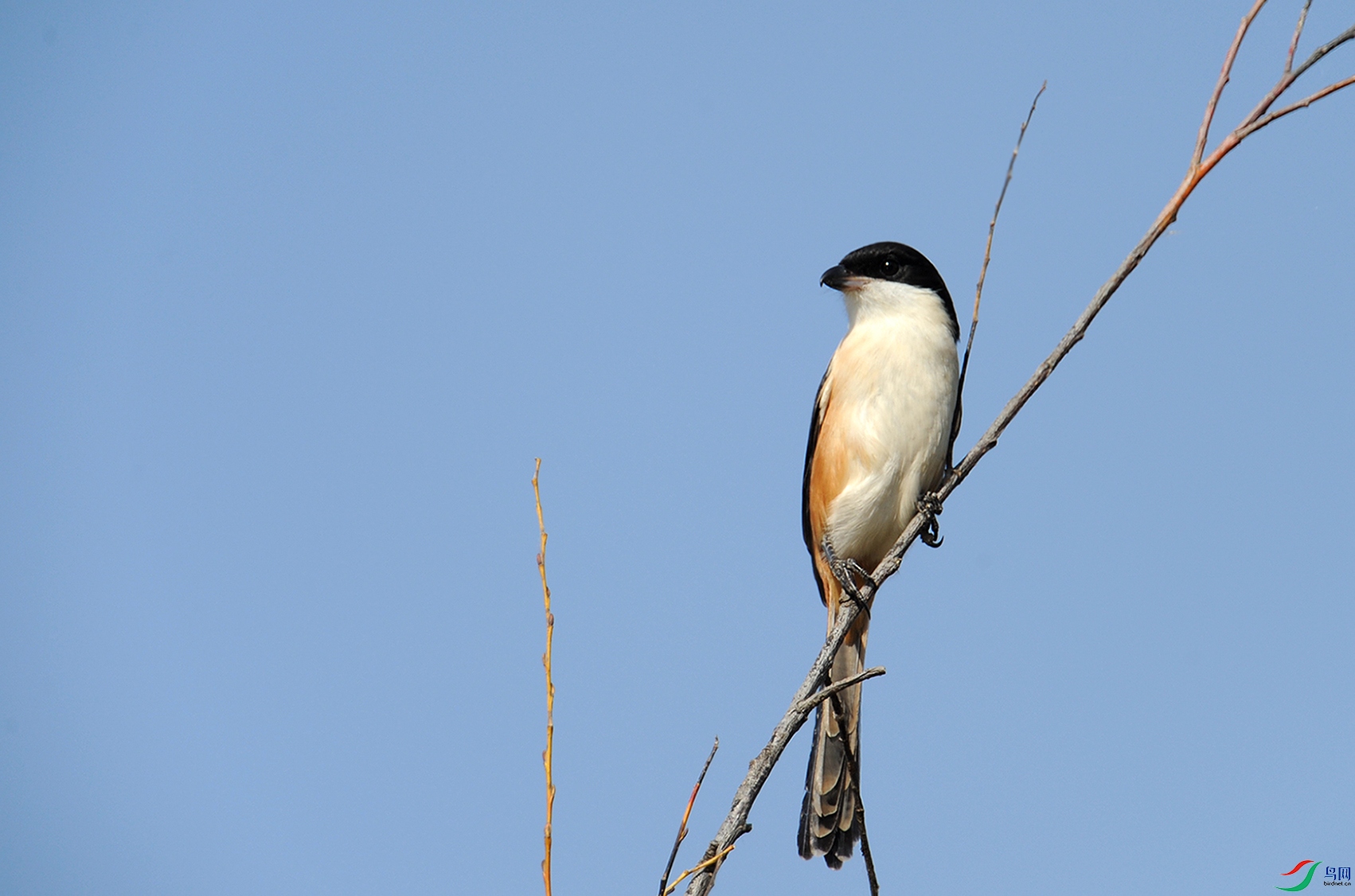 DSC_9069_.jpg