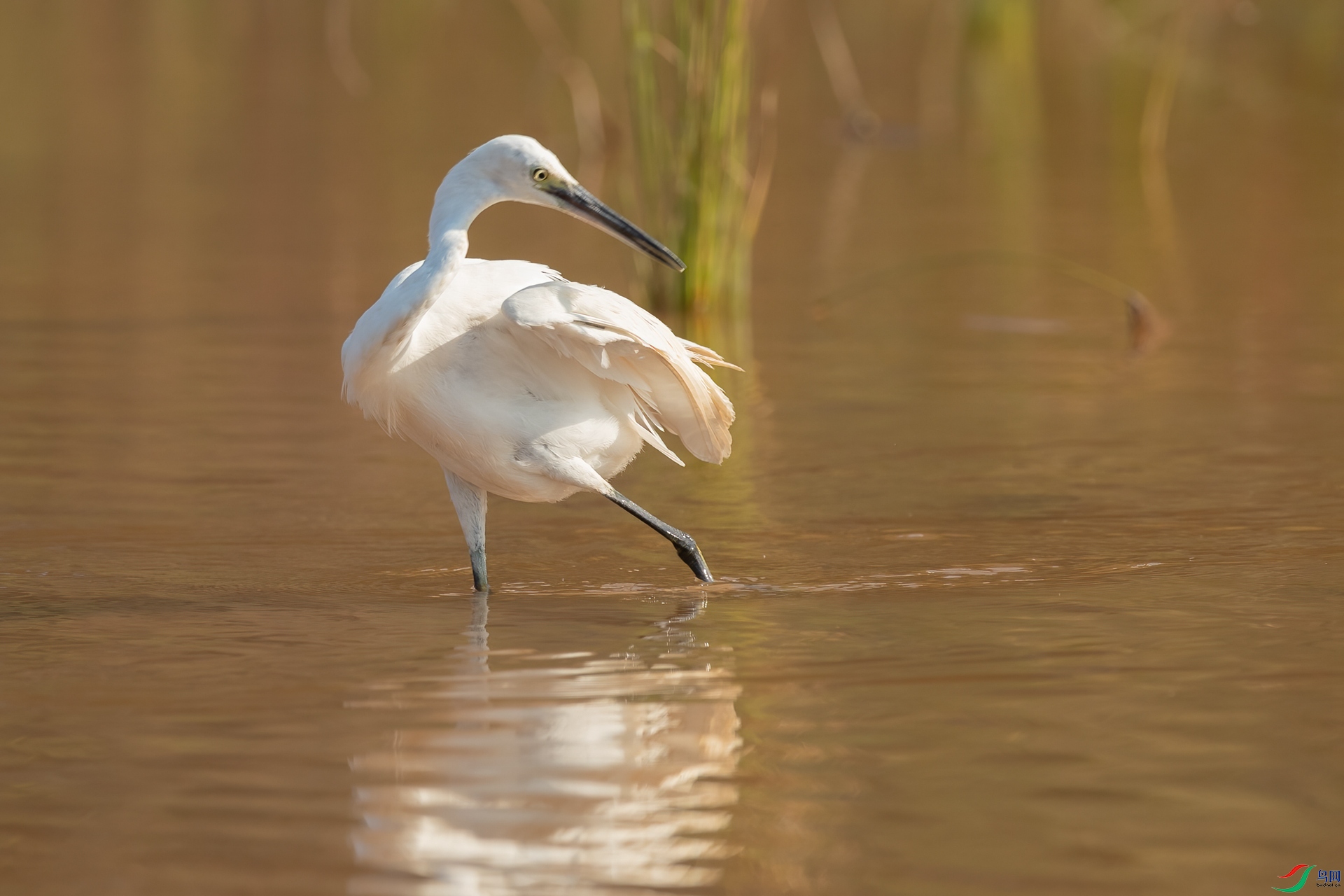 B86I6464 _����.jpg