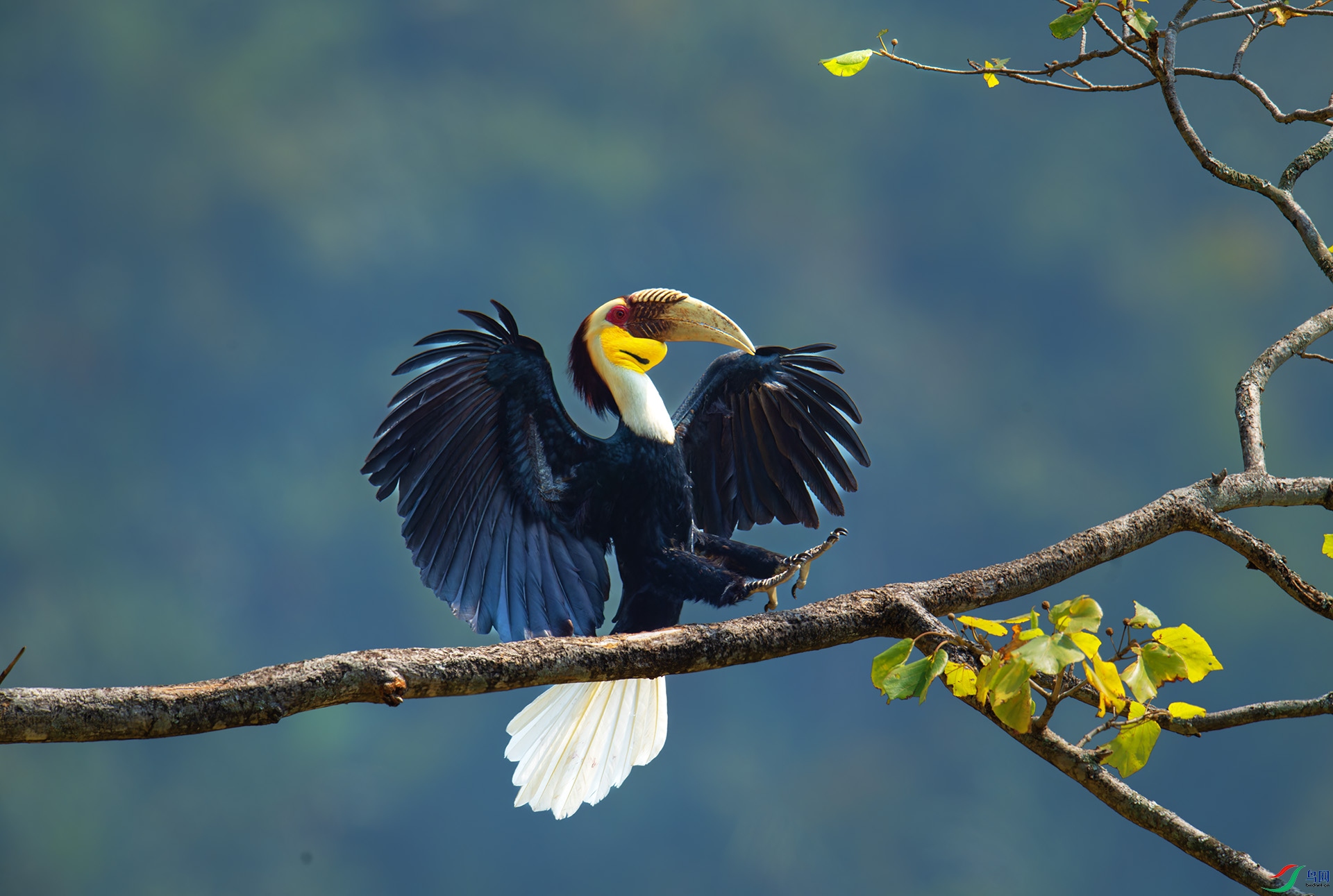 DSC_2595-1.jpg