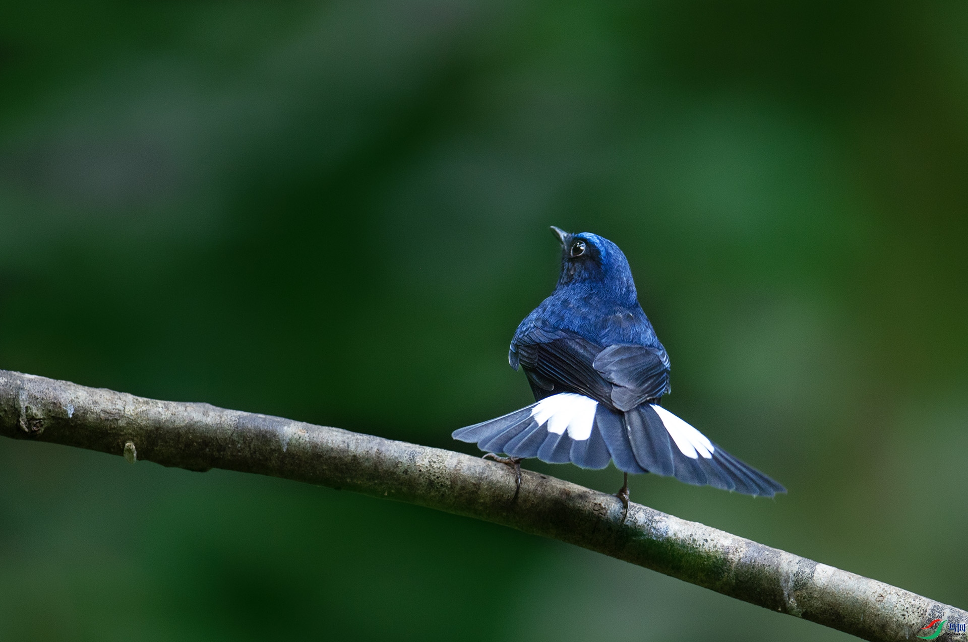 DSC_0166 -1.jpg