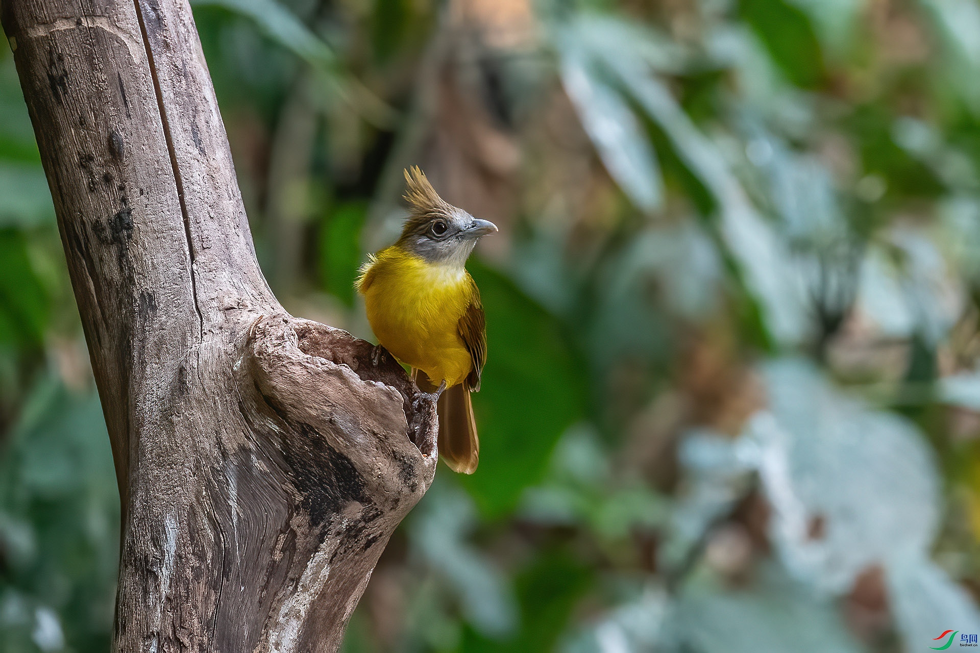 DSC_2562.jpg