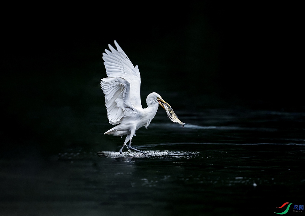 DSC_4659 ���� 3.jpg