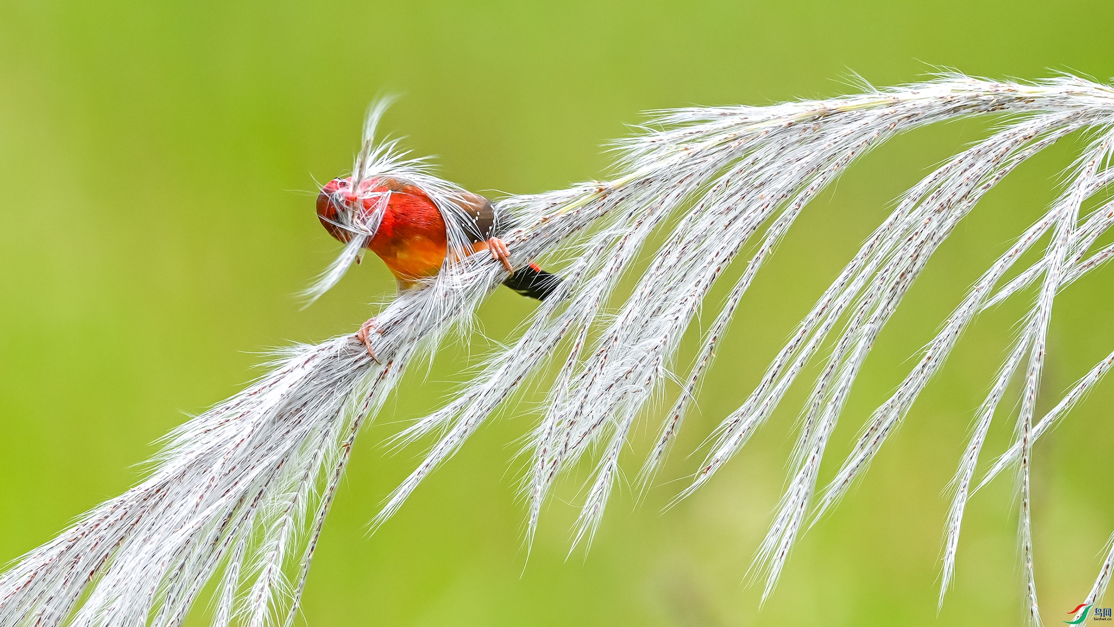 3905 ����.jpg