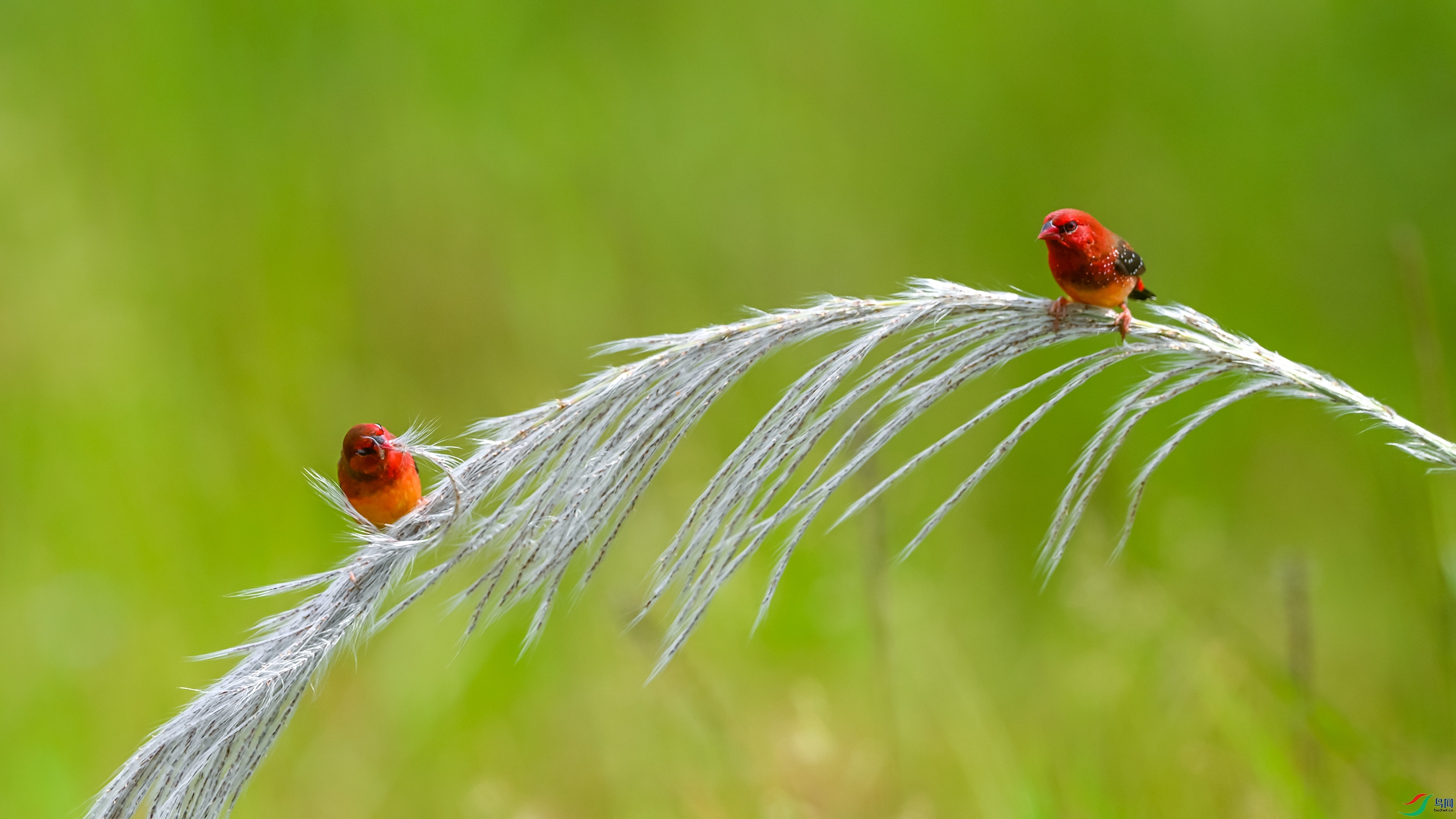 3644 ����.jpg