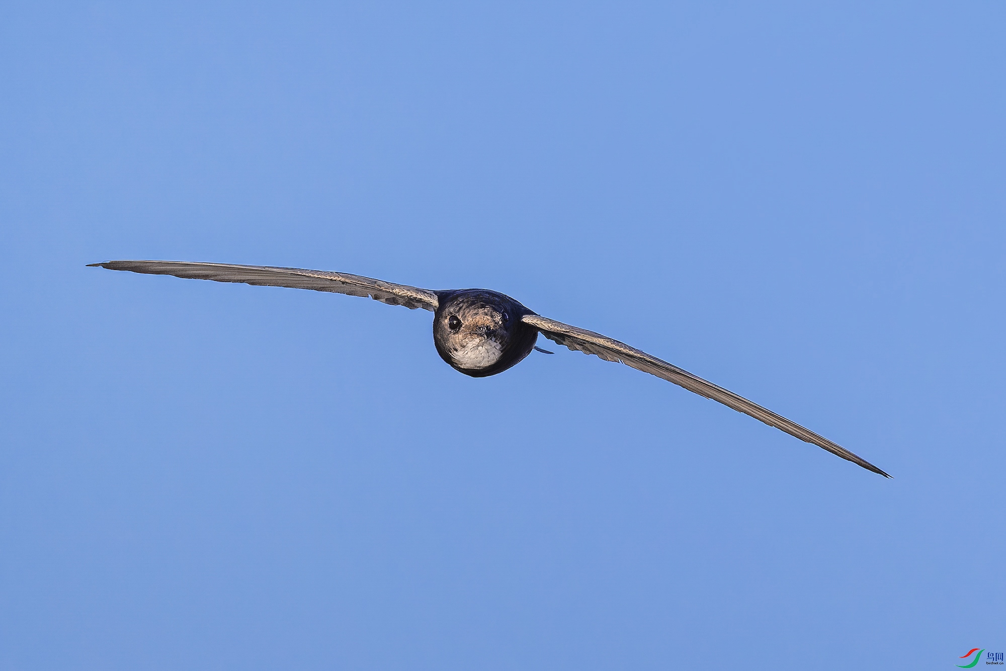 _97A9900-CR3 copy.jpg