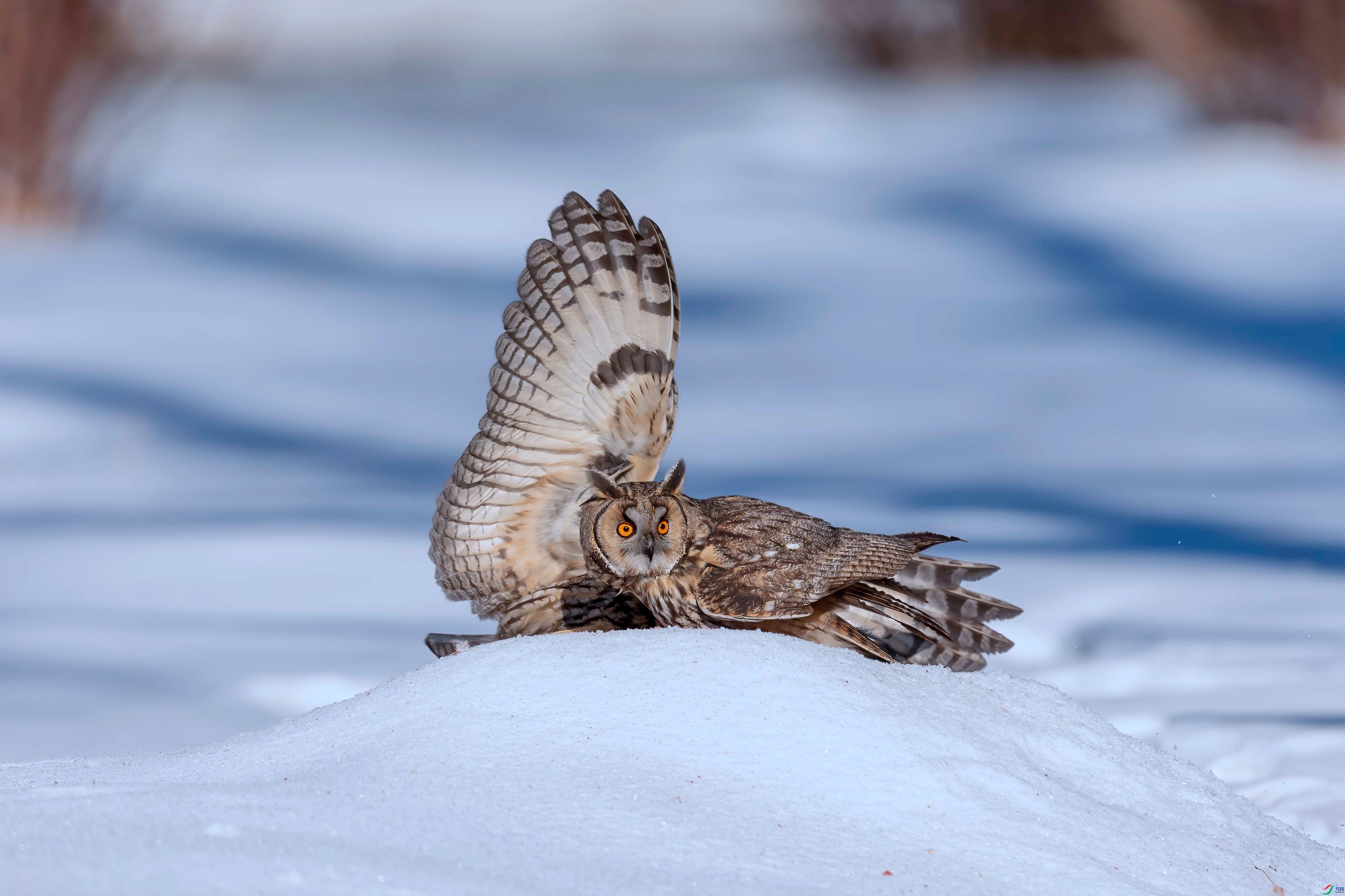 _EZP2053 -N_����.jpg