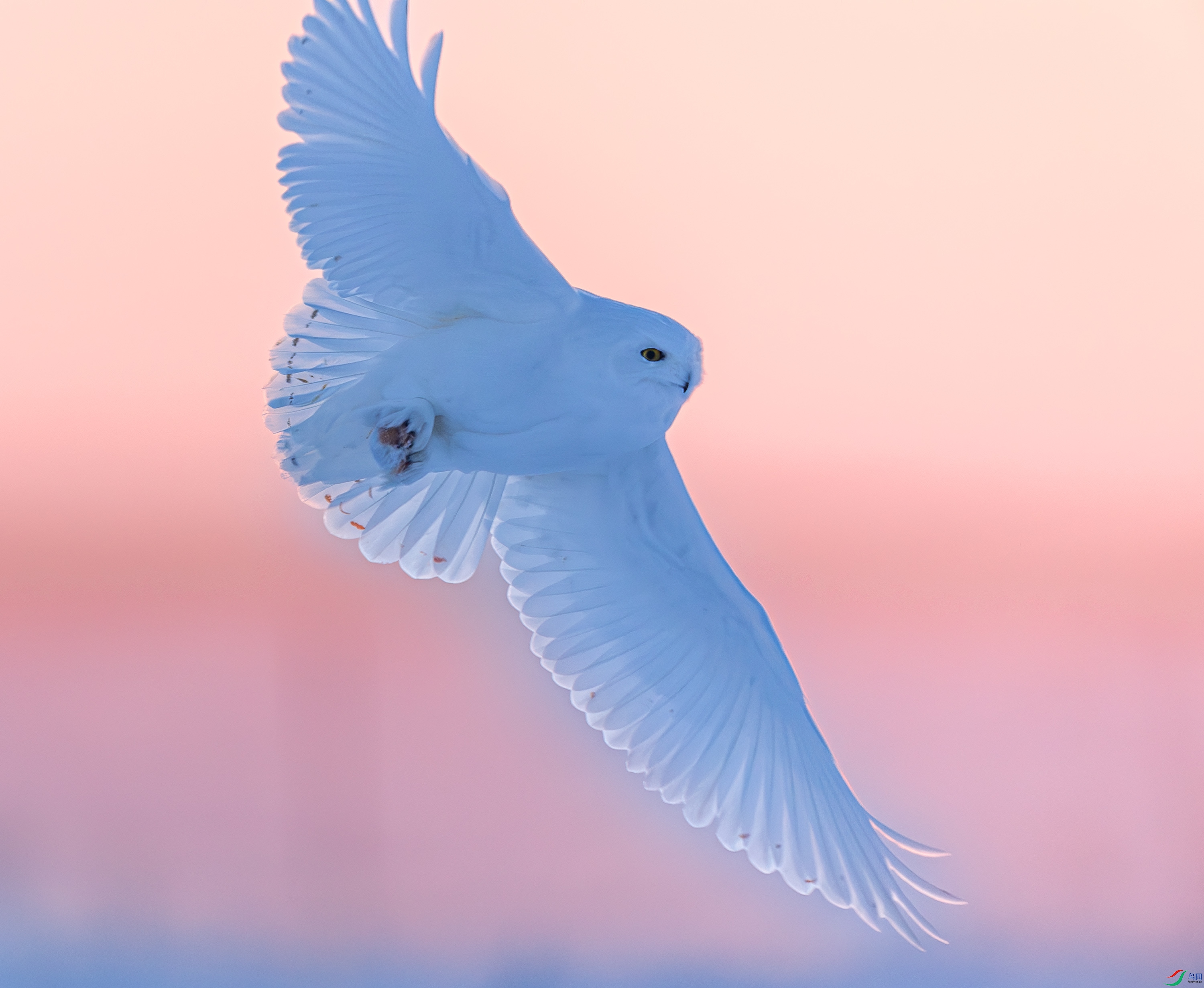 _72A3832-����ǿ-NR.JPG