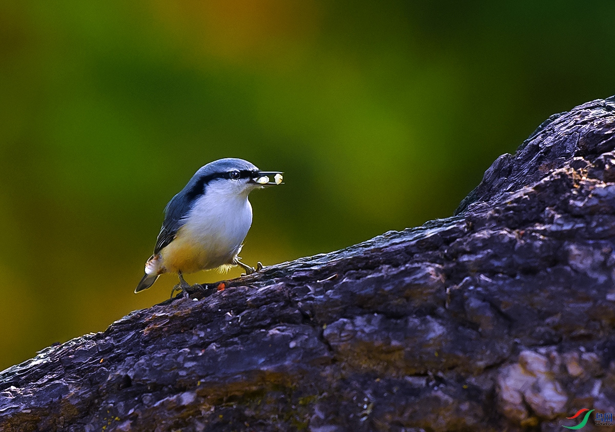 DSC_1687.JPG
