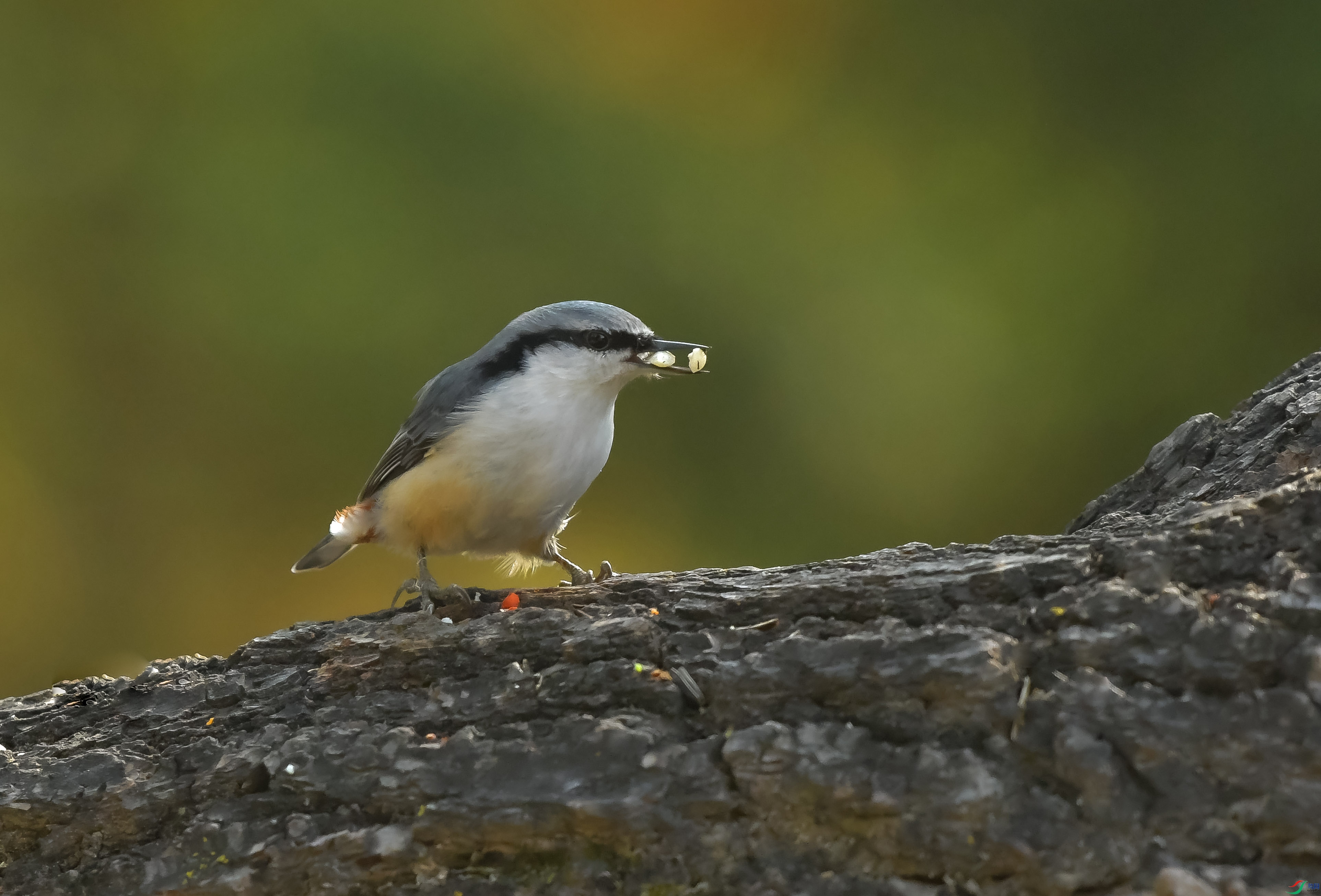 DSC_1688.JPG