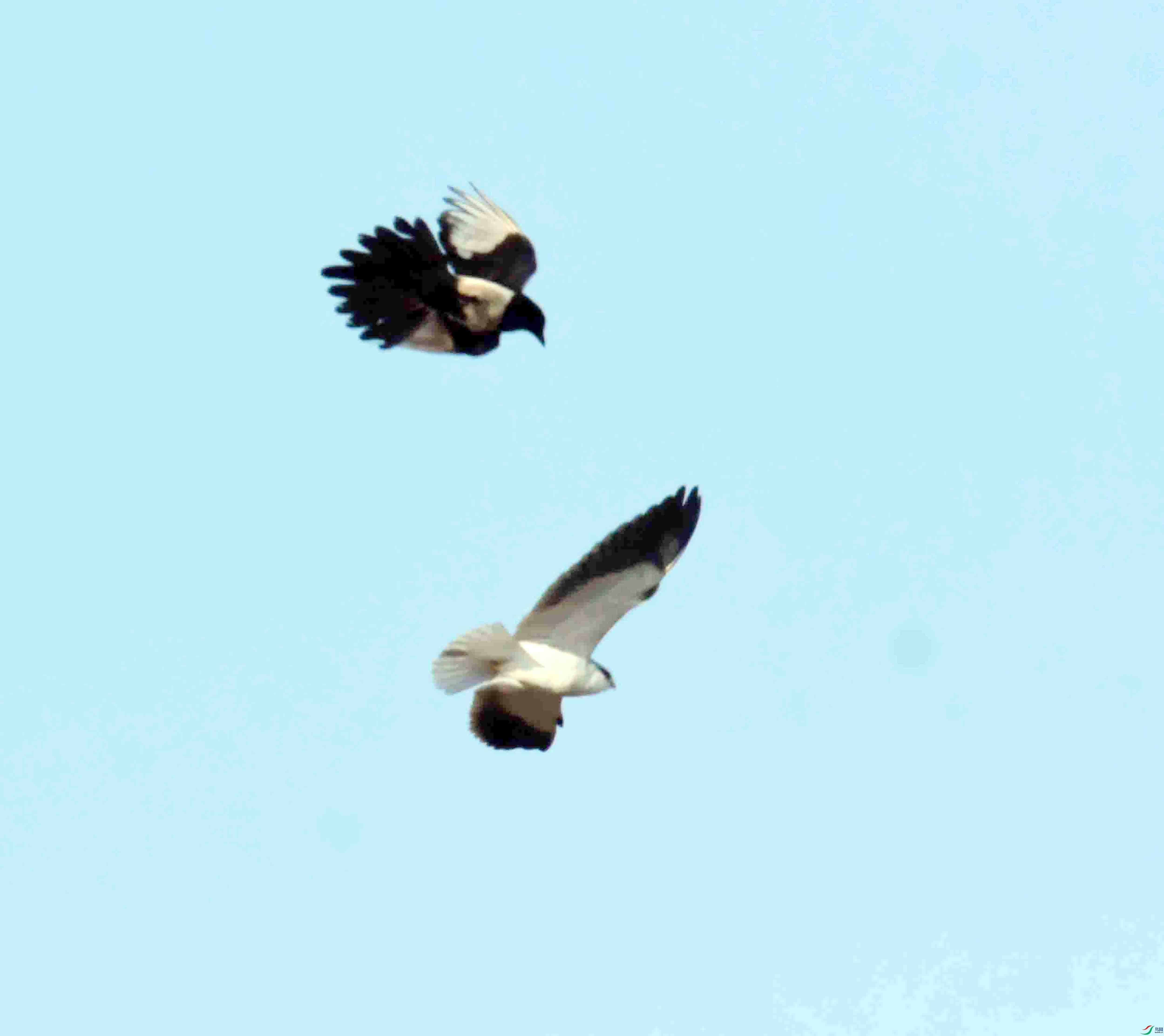 DSC_1142.JPG