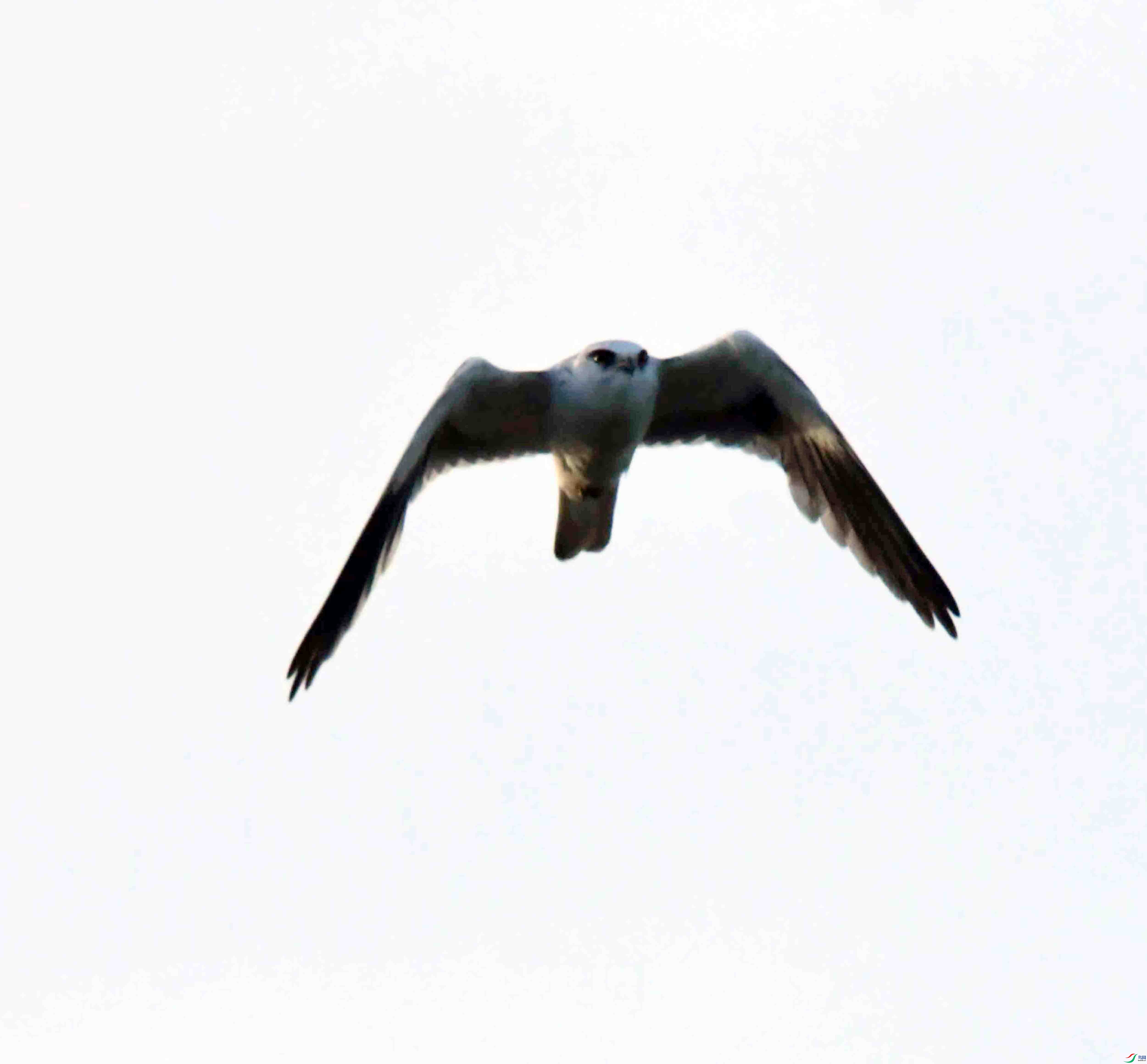 DSC_7890.JPG