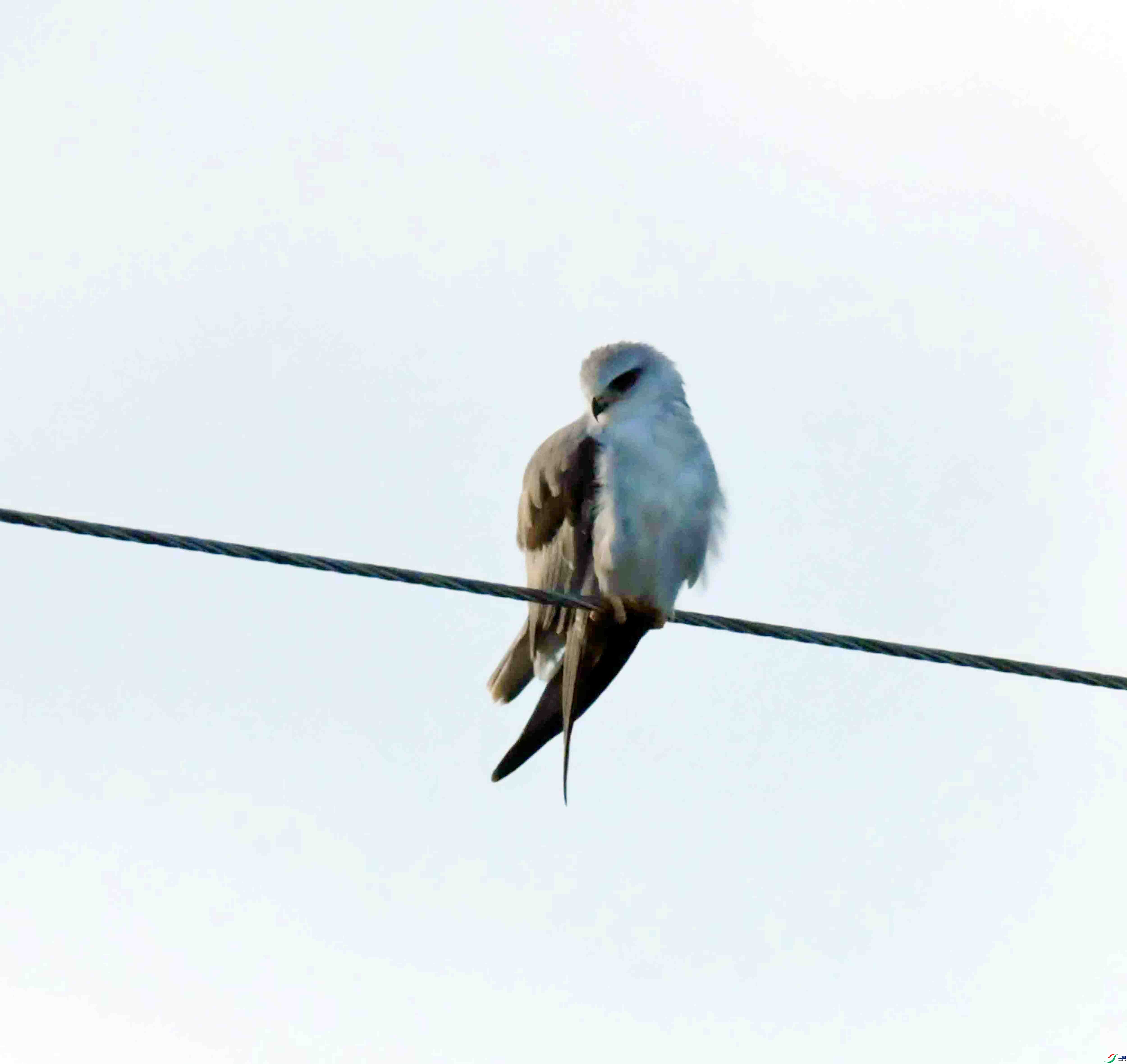 DSC_7898.JPG