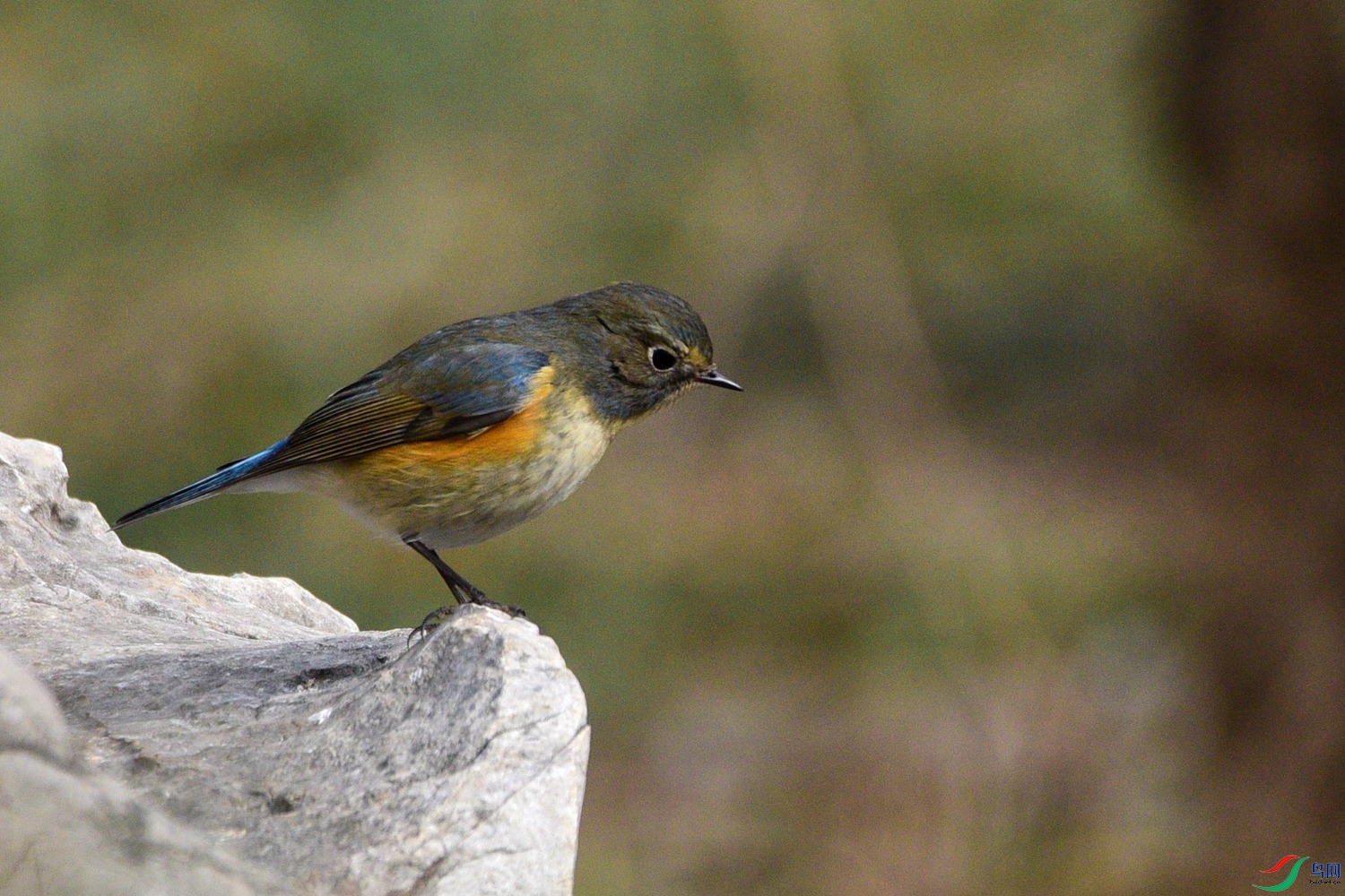 DSC_5326.JPG