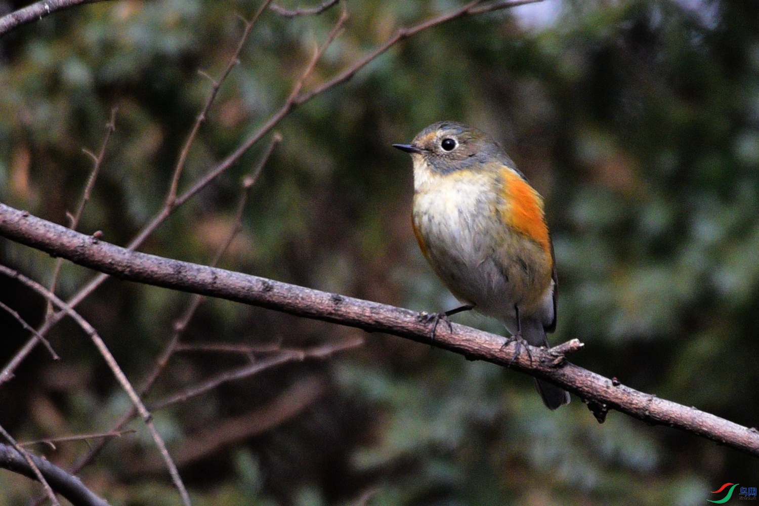 DSC_5341.JPG