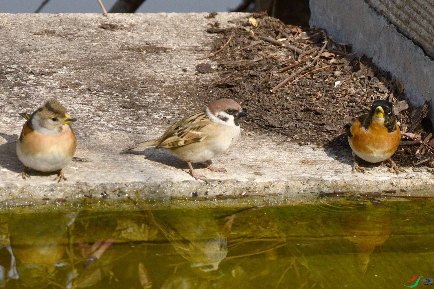DSC_5378.JPG