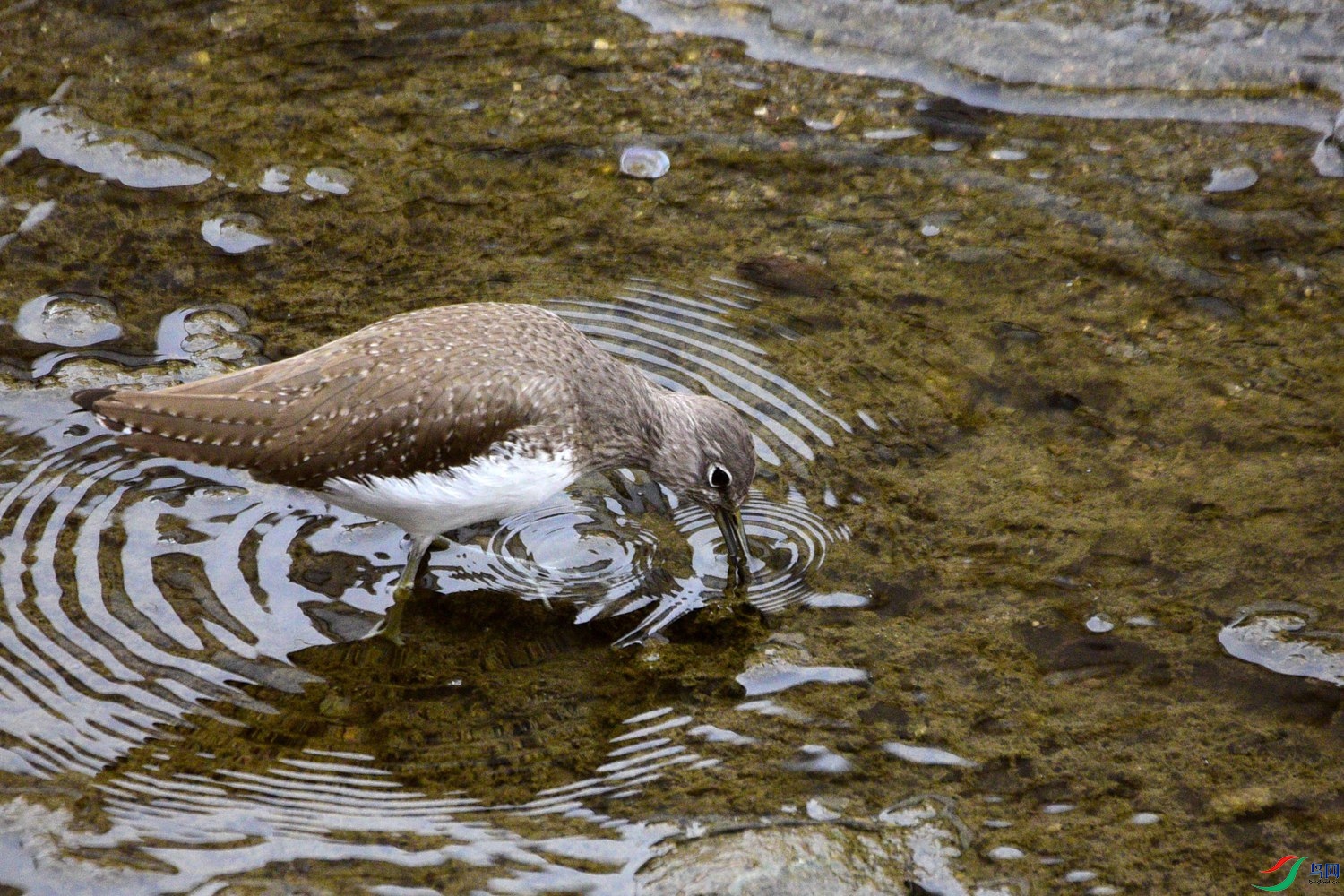 DSC_5166.JPG