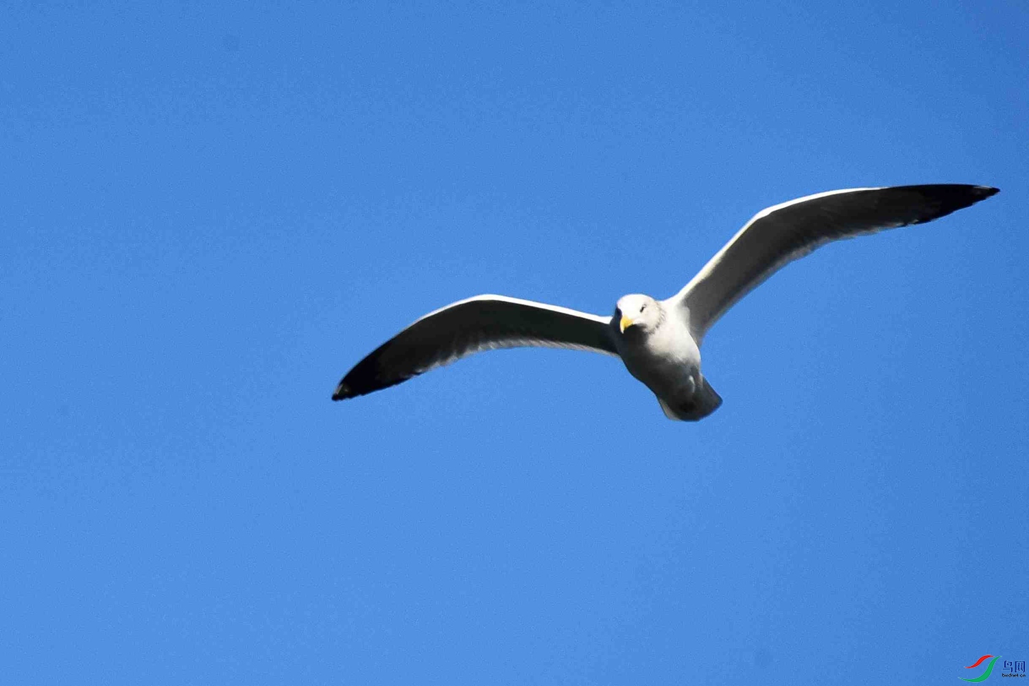 DSC_5651.JPG