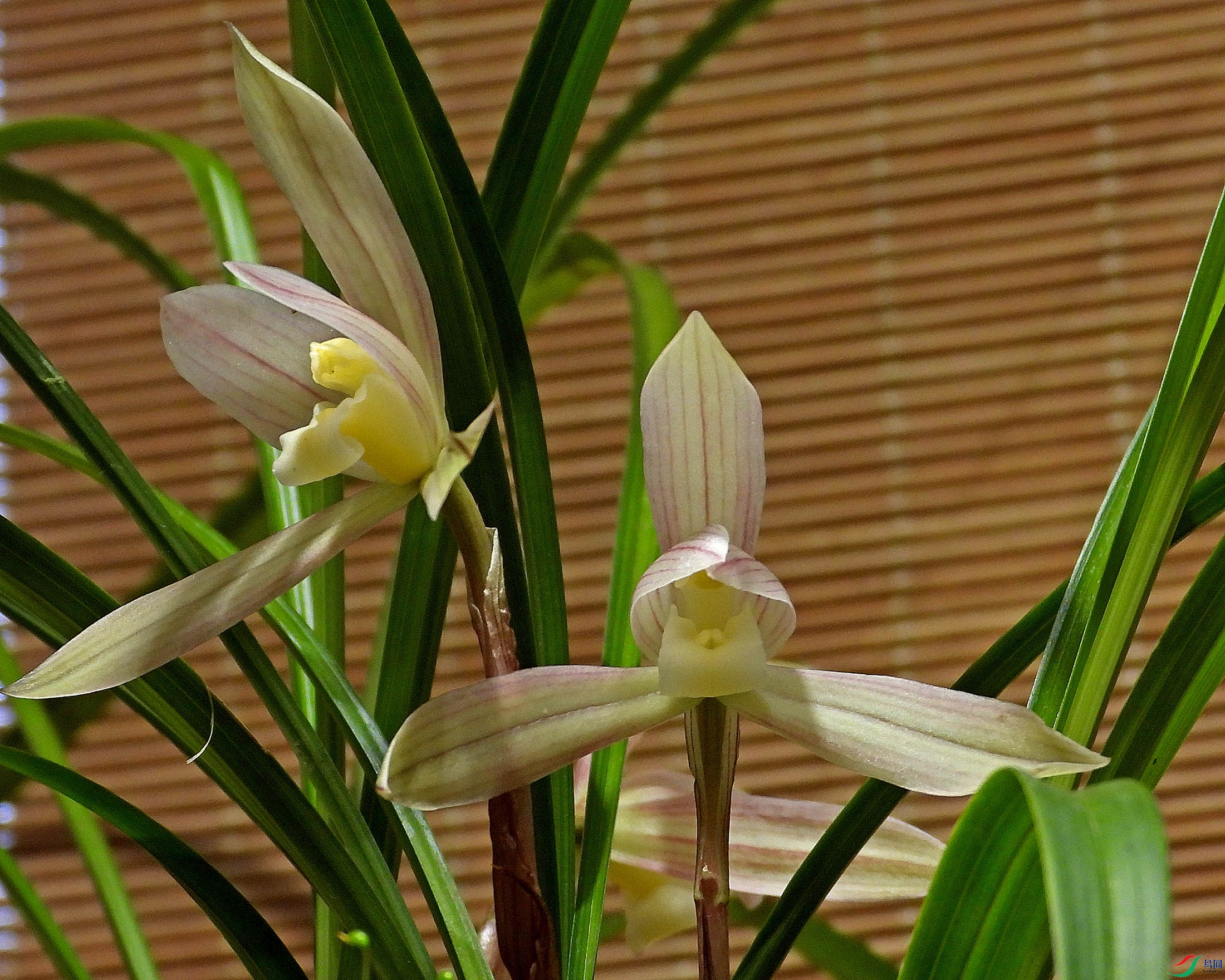 DSCN2710.JPG