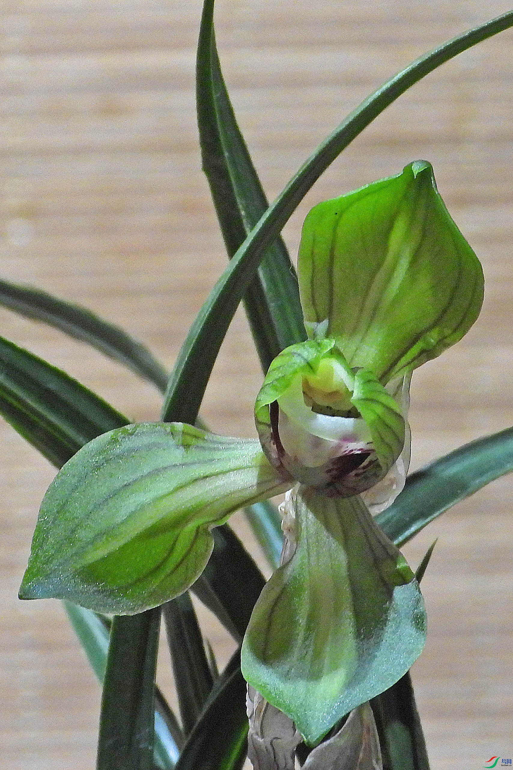 DSCN2730.JPG