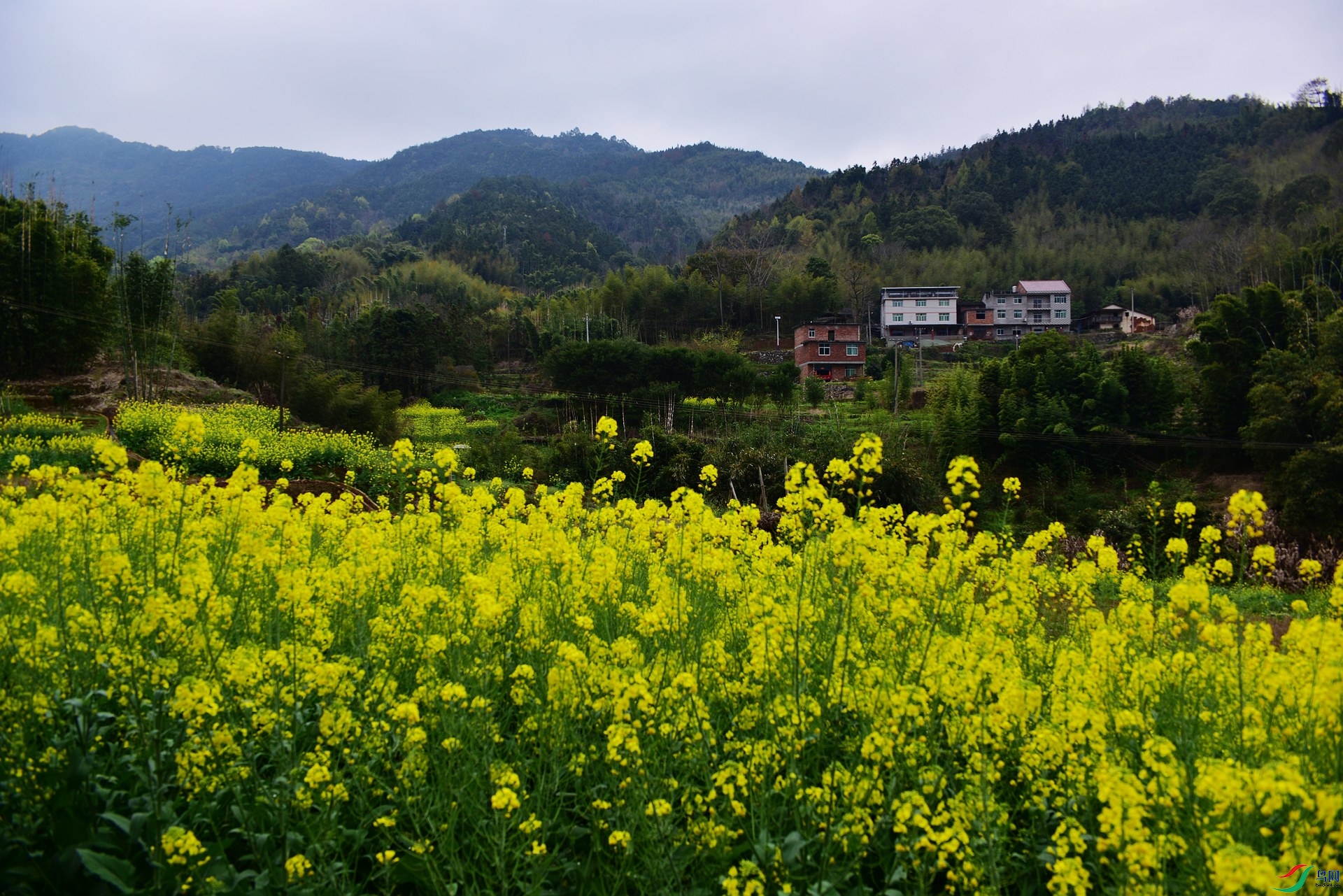D8I_9958.jpg