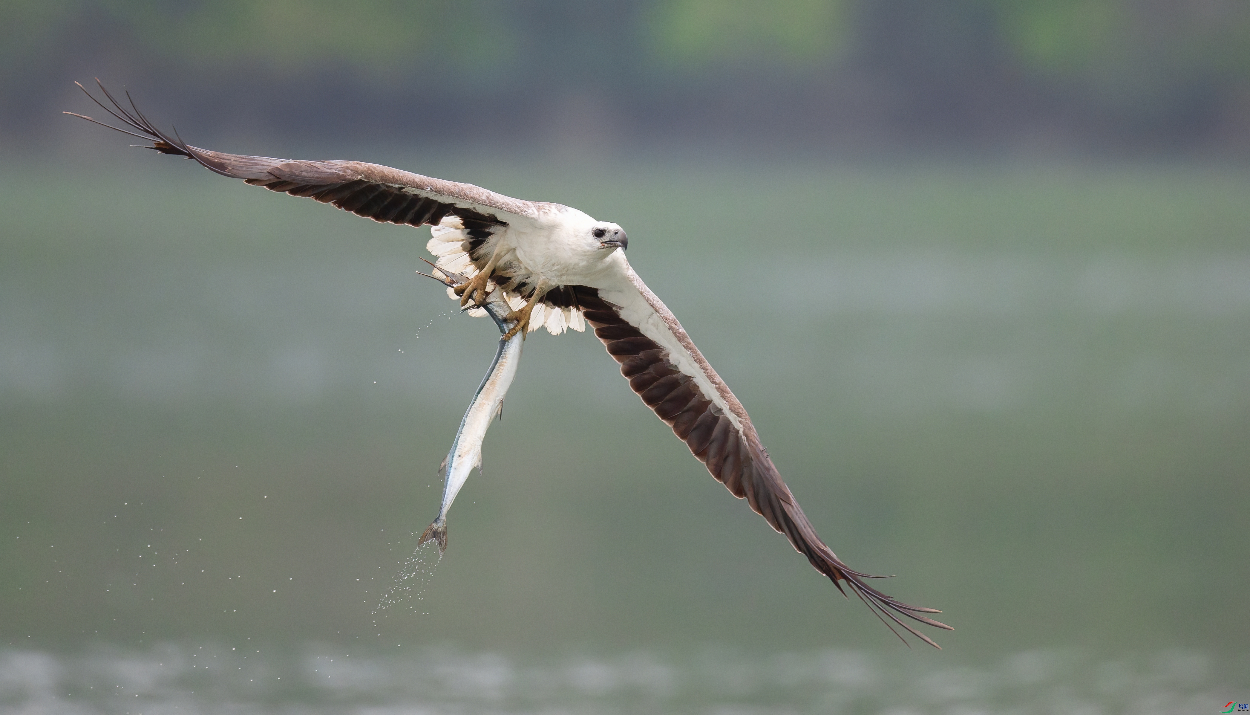 _X0A5790-topaz-denoise.jpeg