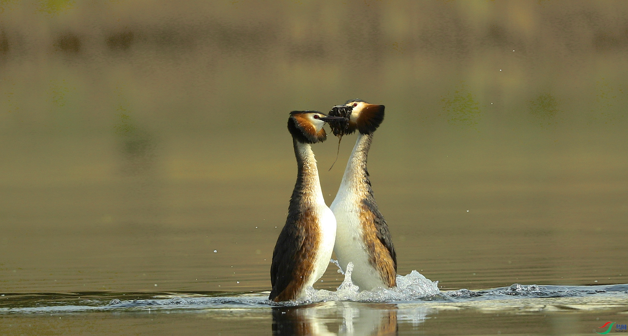 C40I2296.00_00_07_32.Still003 ����.jpg