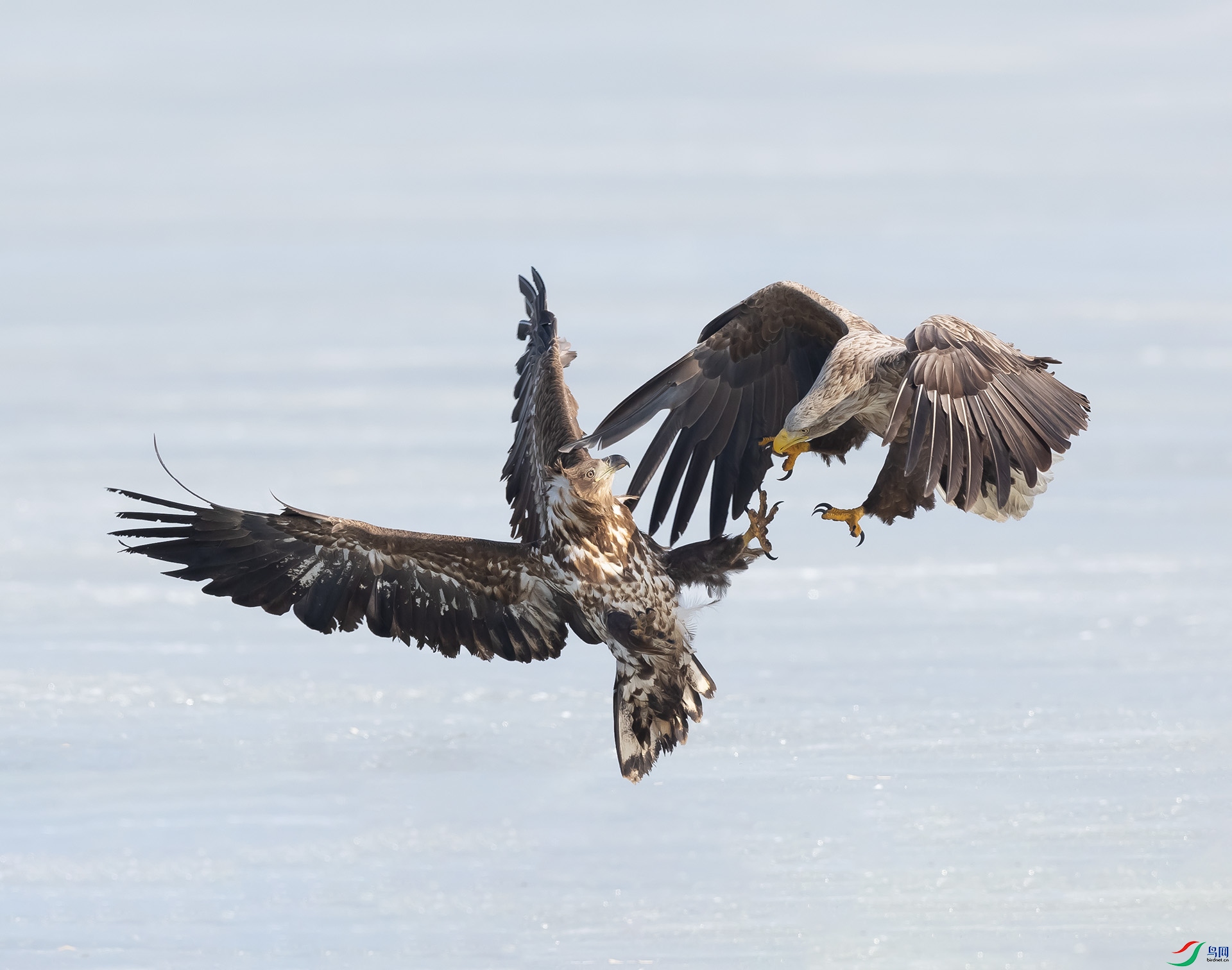 019A7370 ����.jpg