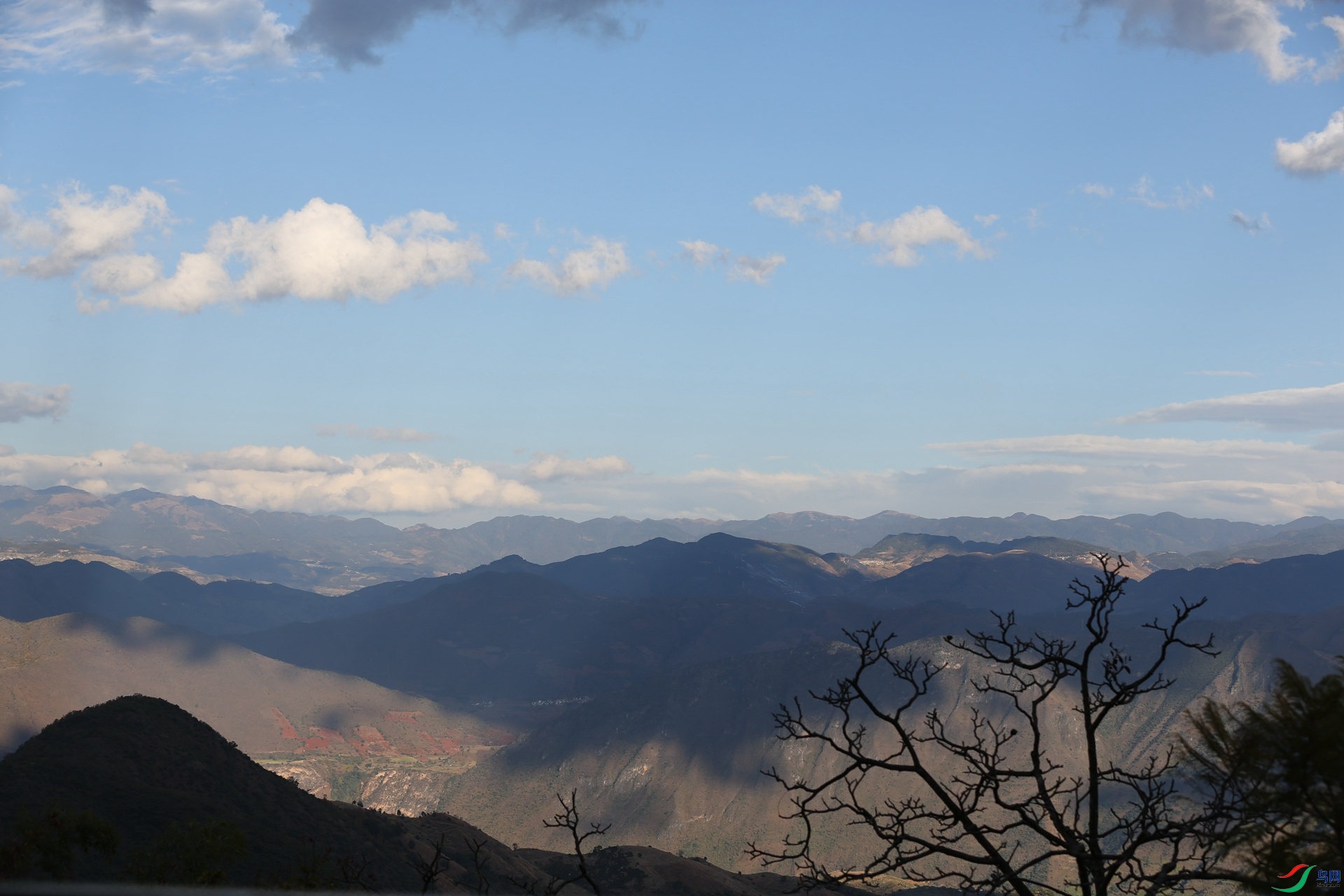 �ٻ��붫��203����������