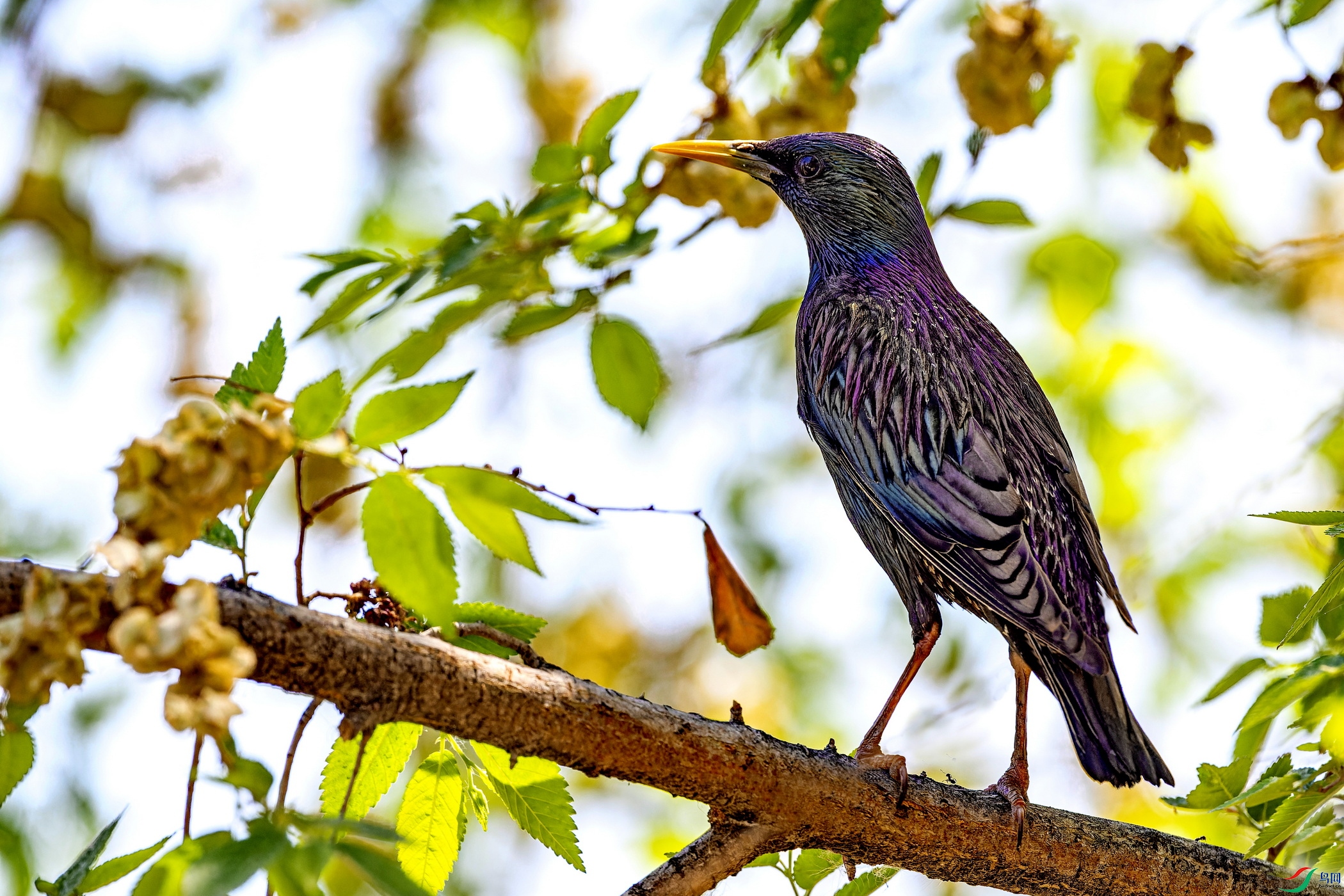 �ϳ���� (6)-1.jpg