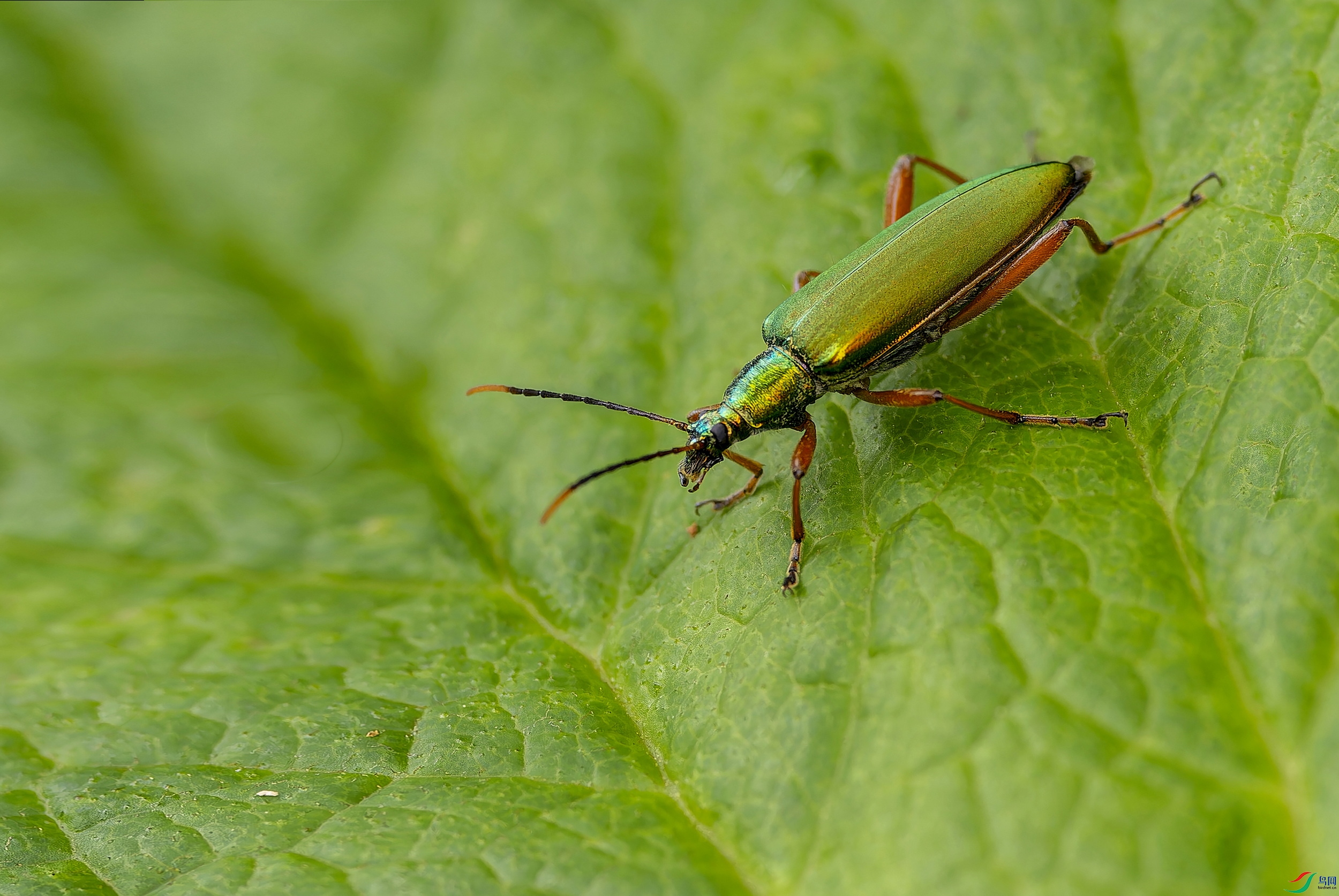 ���� (1)-1.jpg