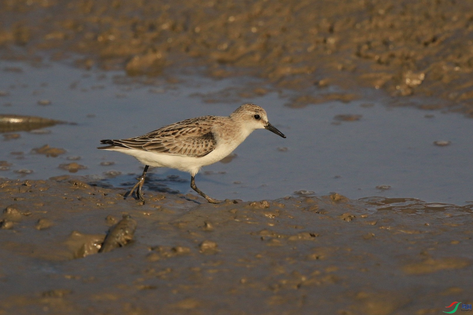 5 �츹���֣�0F4A5290.jpg