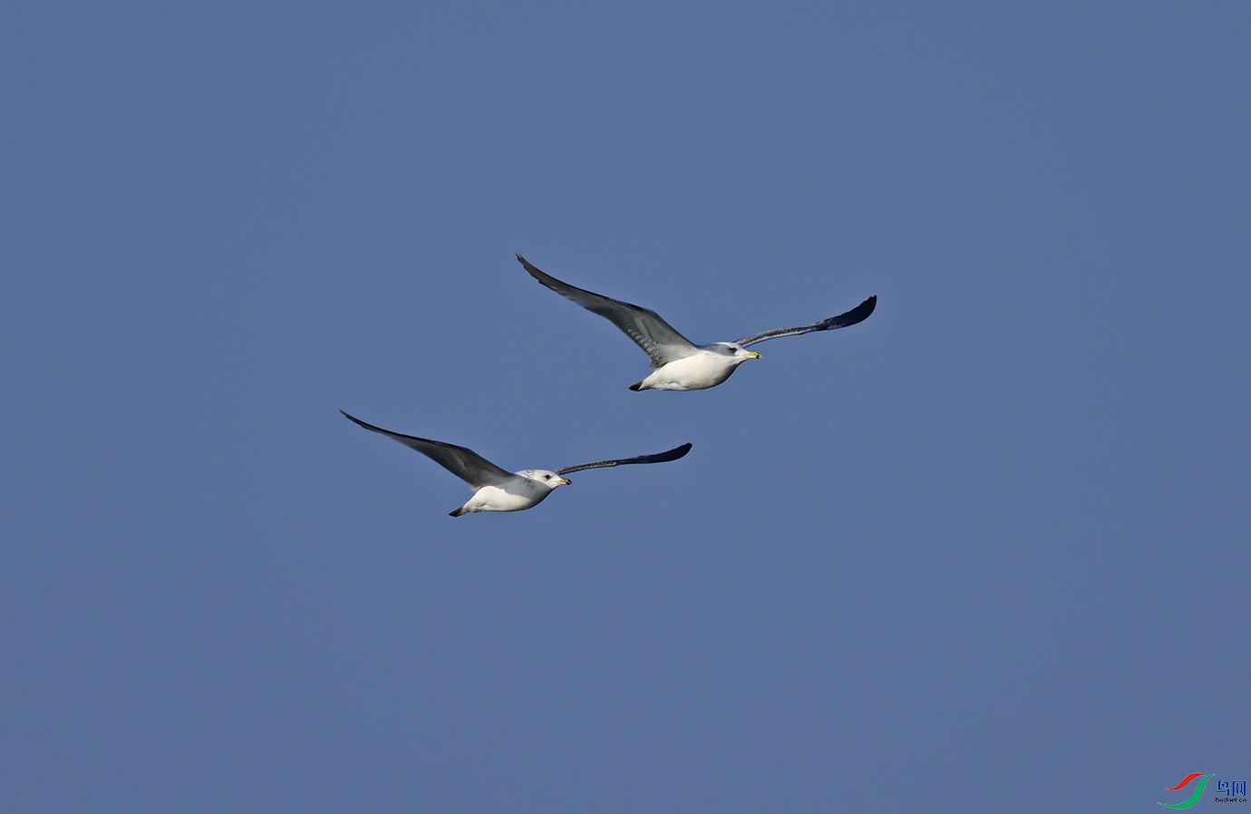 _DSC4635f.jpg