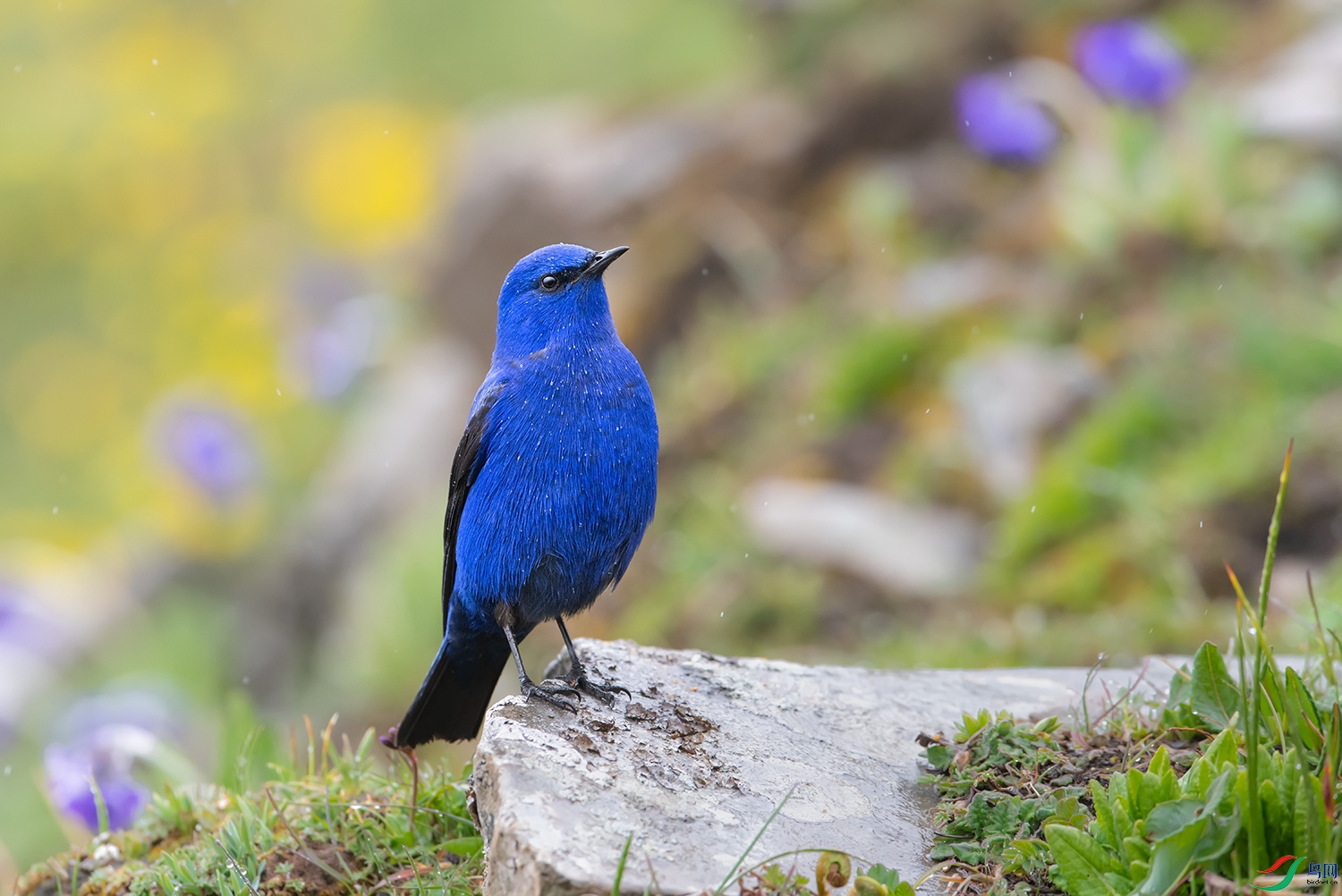 DSC_46911.jpg