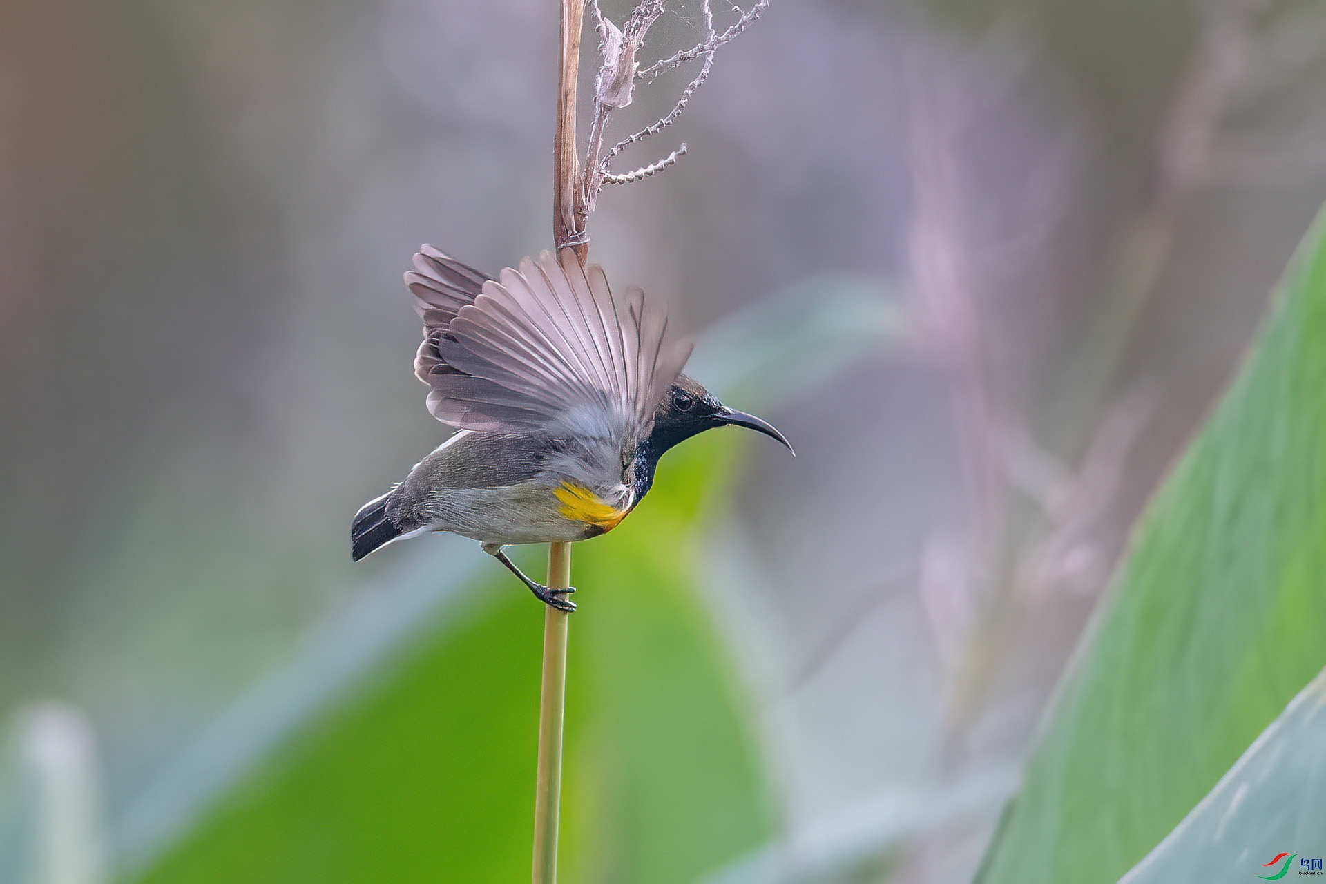 DSC_1583.jpg