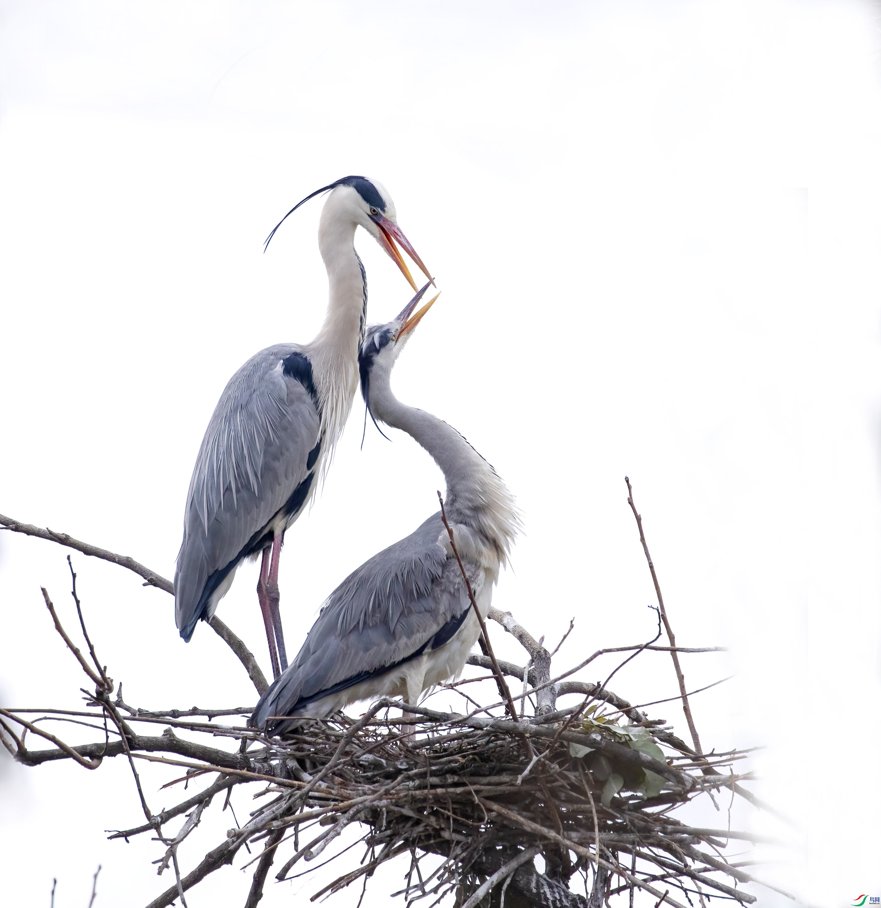 314A9548 ����.jpg