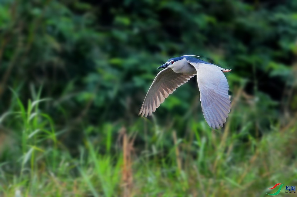 DSC_9169.JPG