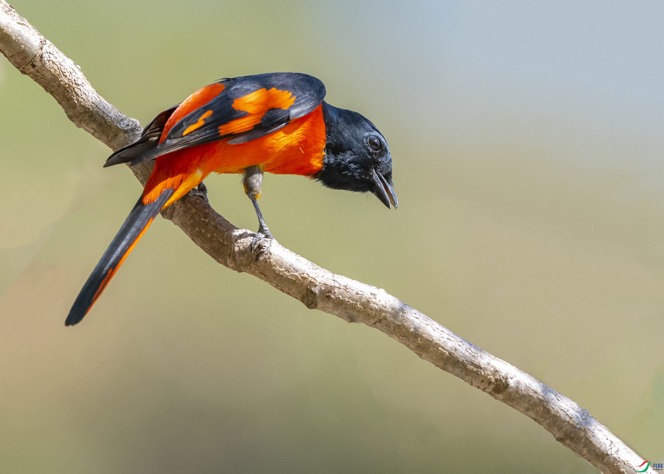 3563 ����.jpg