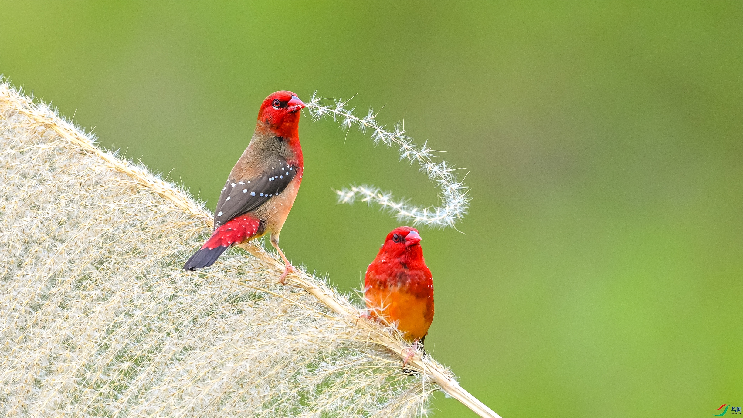 3384 ����.jpg