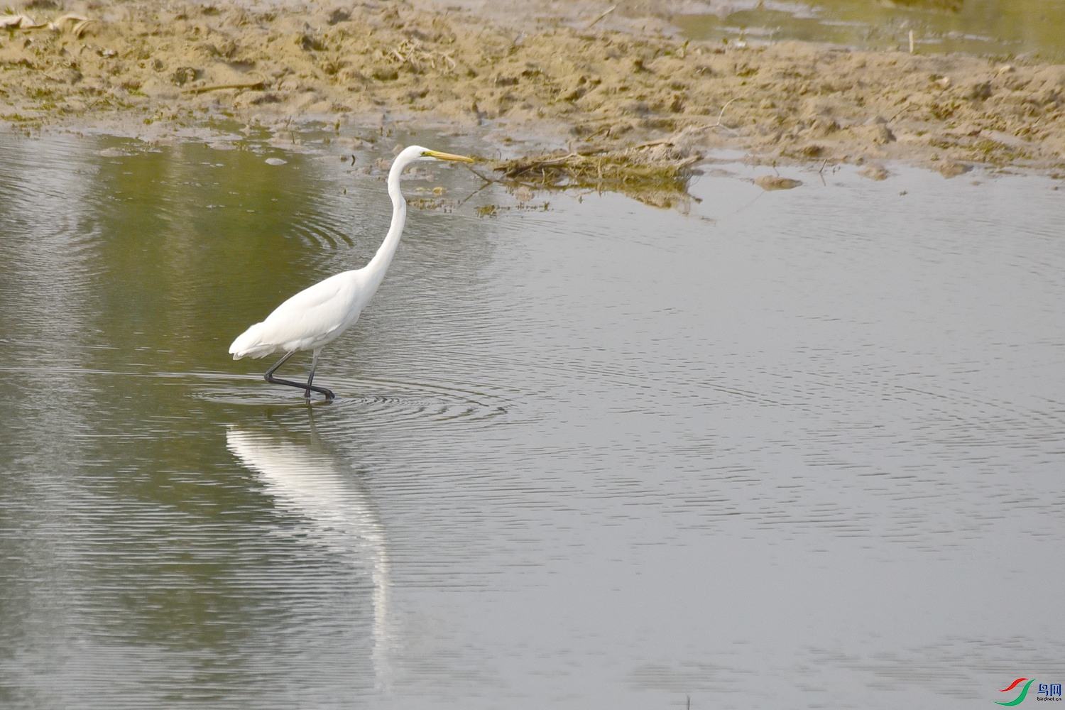 DSC_3968.JPG