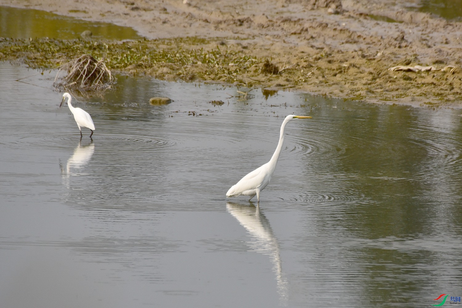 DSC_3967.JPG