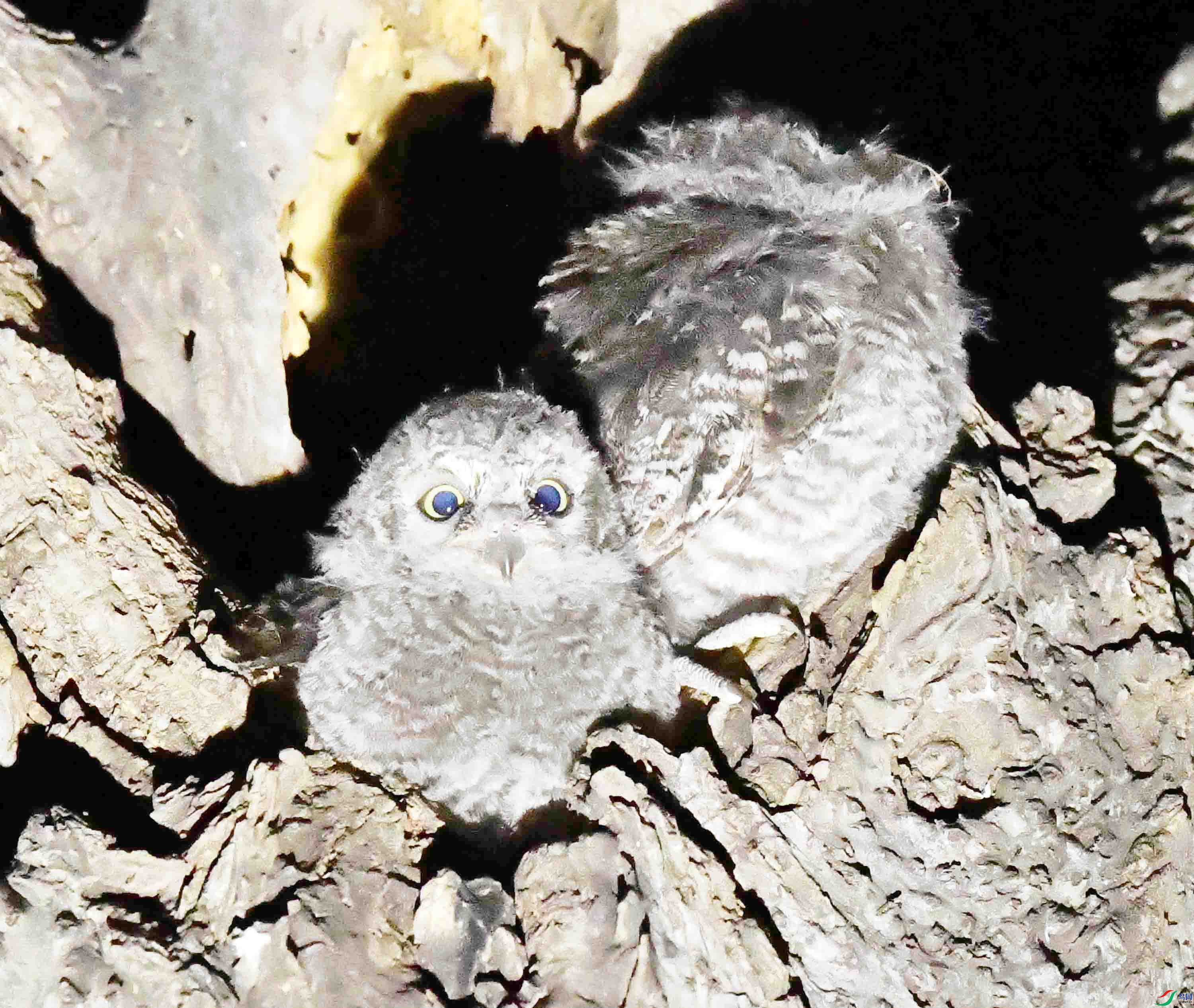 DSC_4565.JPG