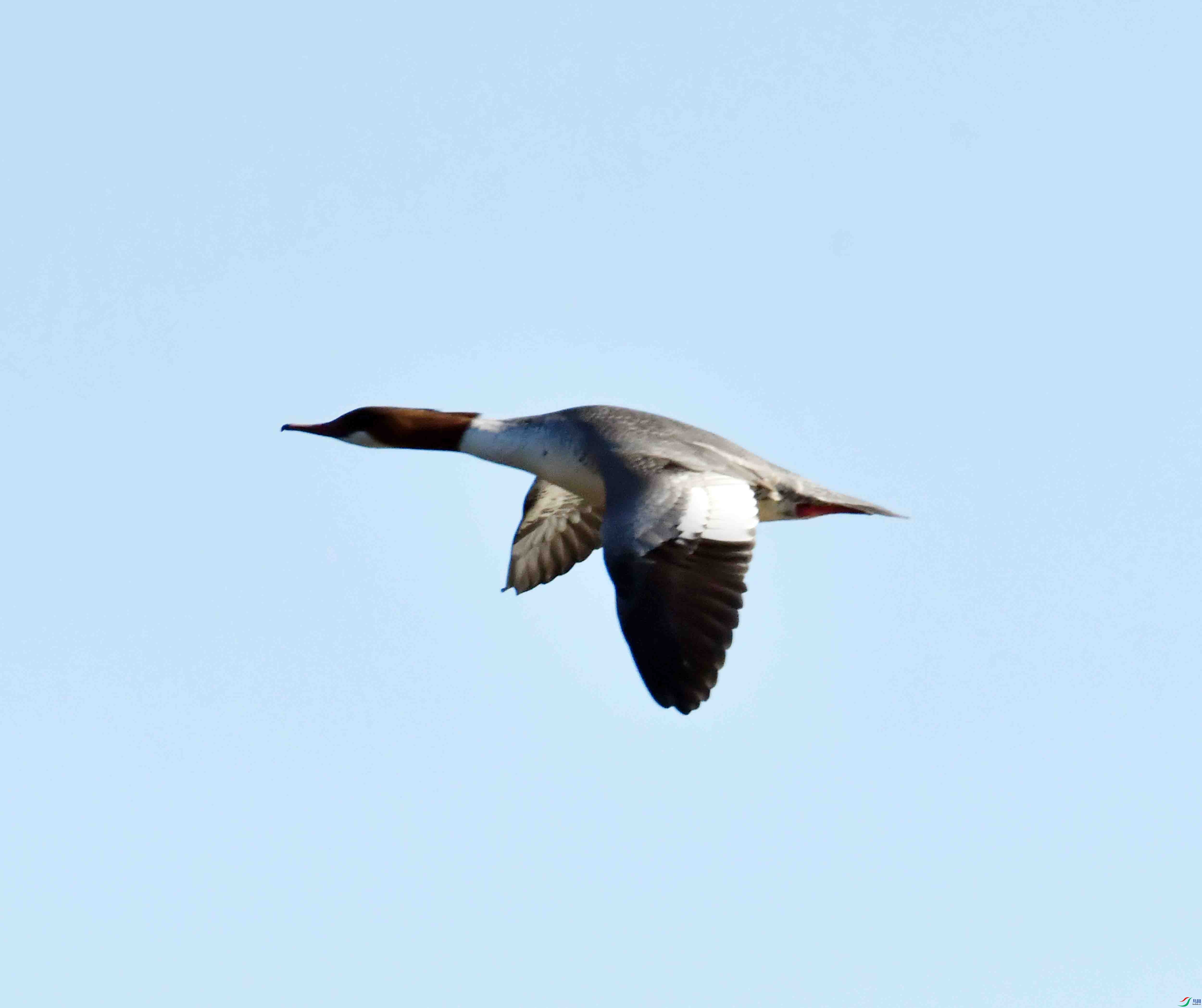 DSC_9074.JPG
