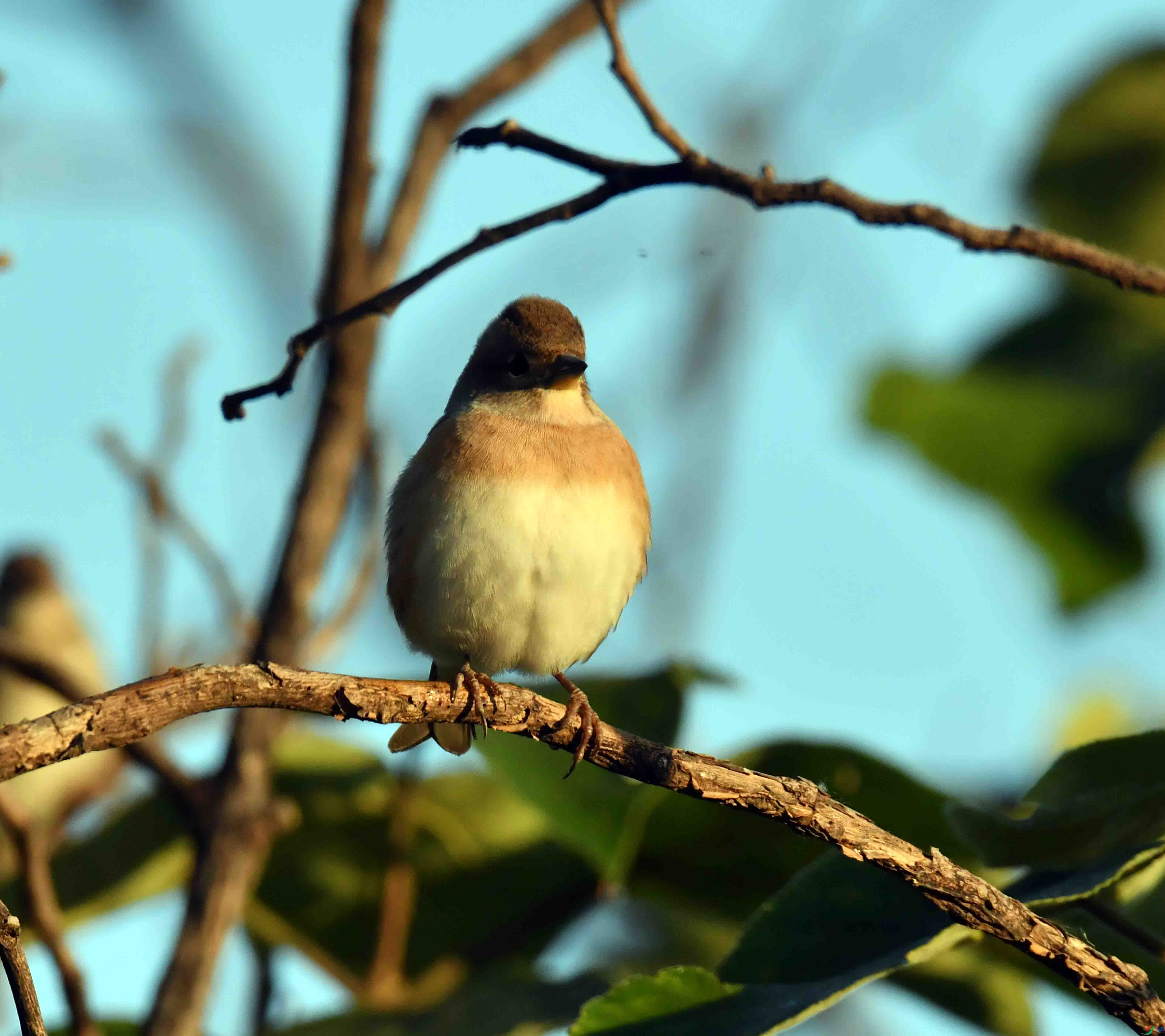 DSC_8392.JPG