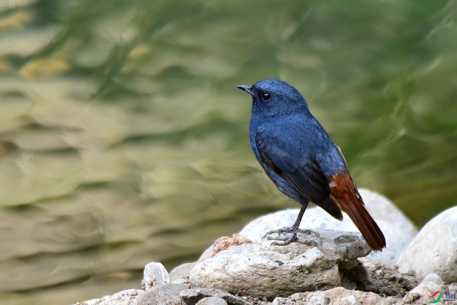 DSC_7579.JPG