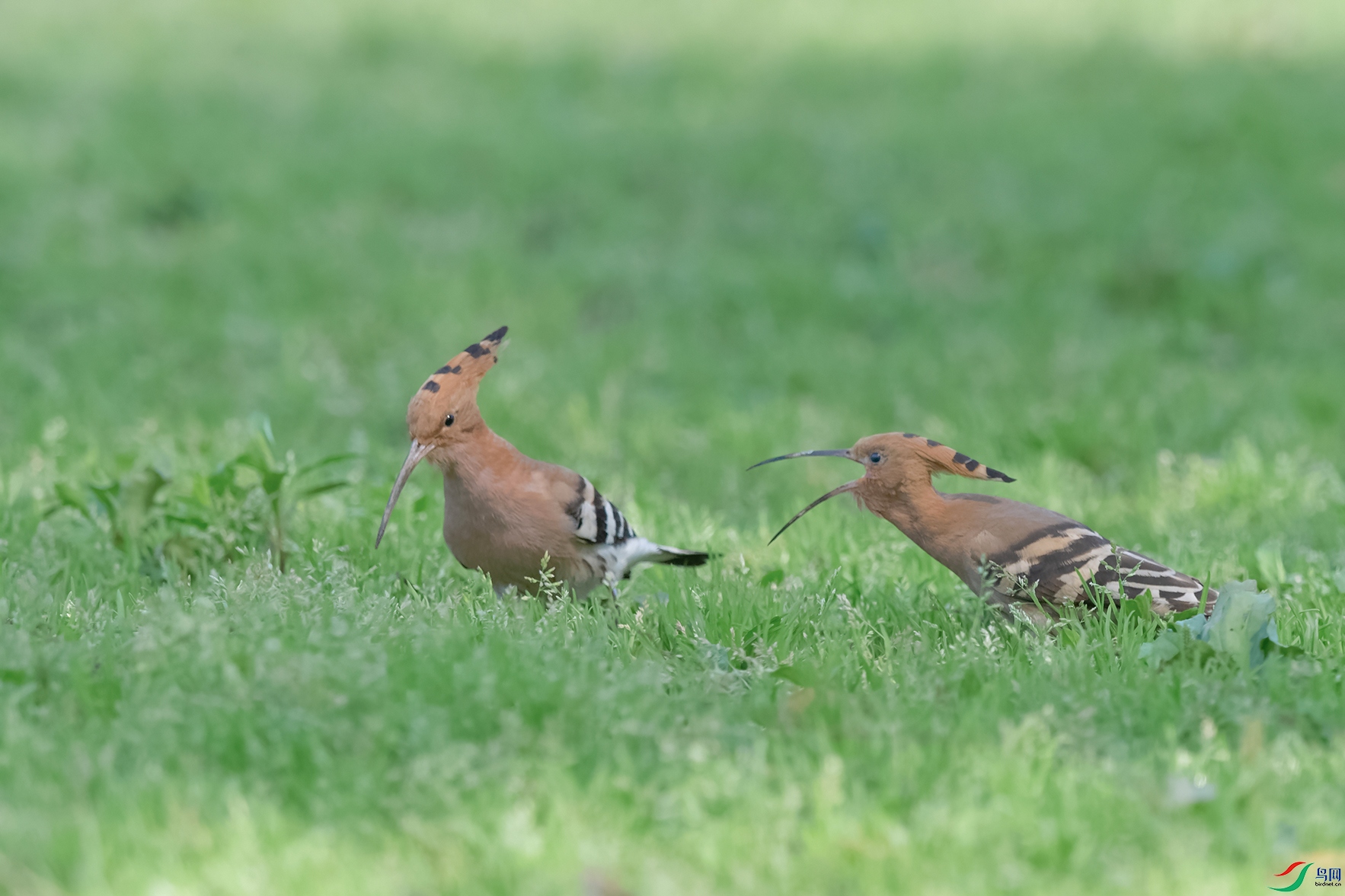DSC_0910_DxOa.jpg