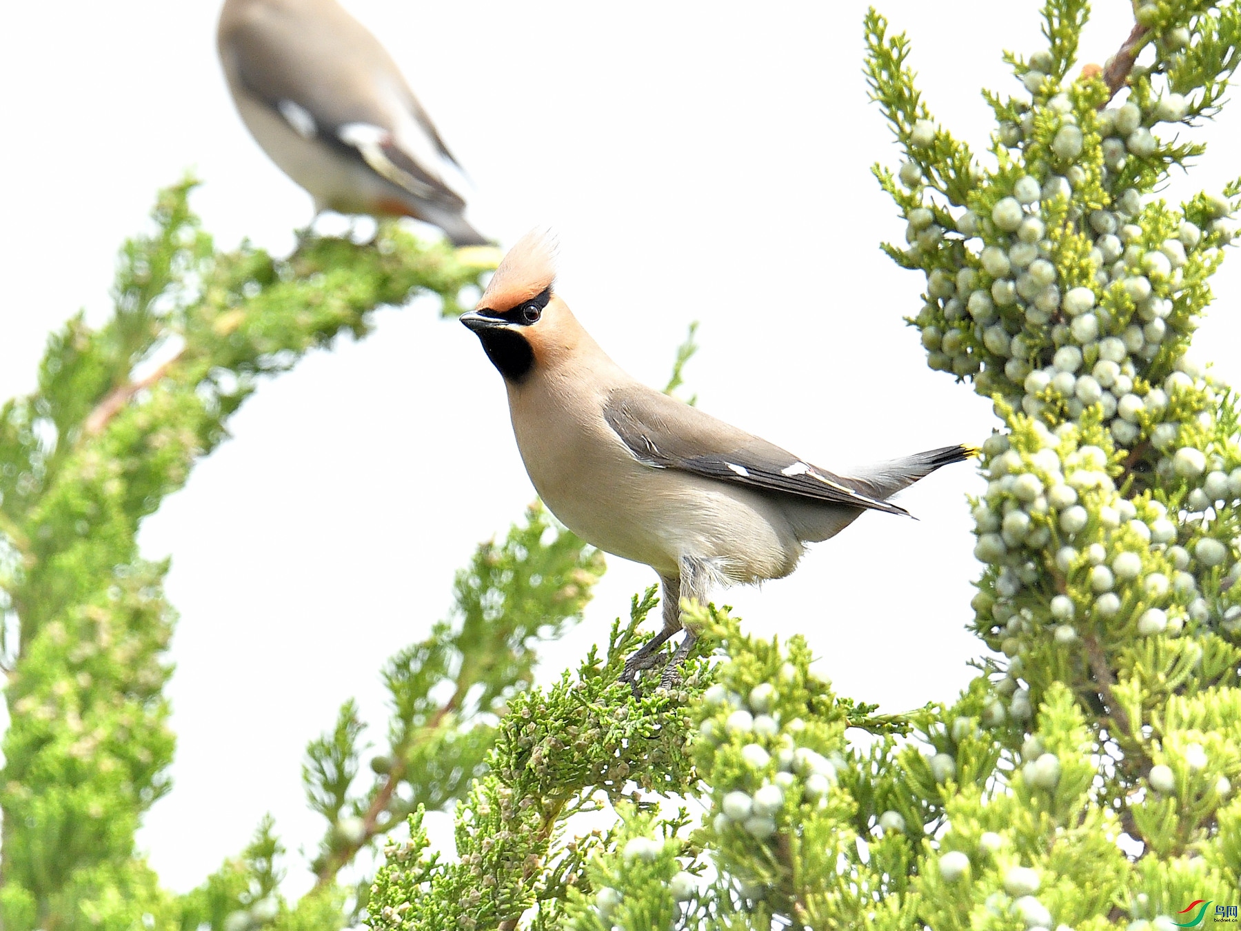 DSC_9080.JPG